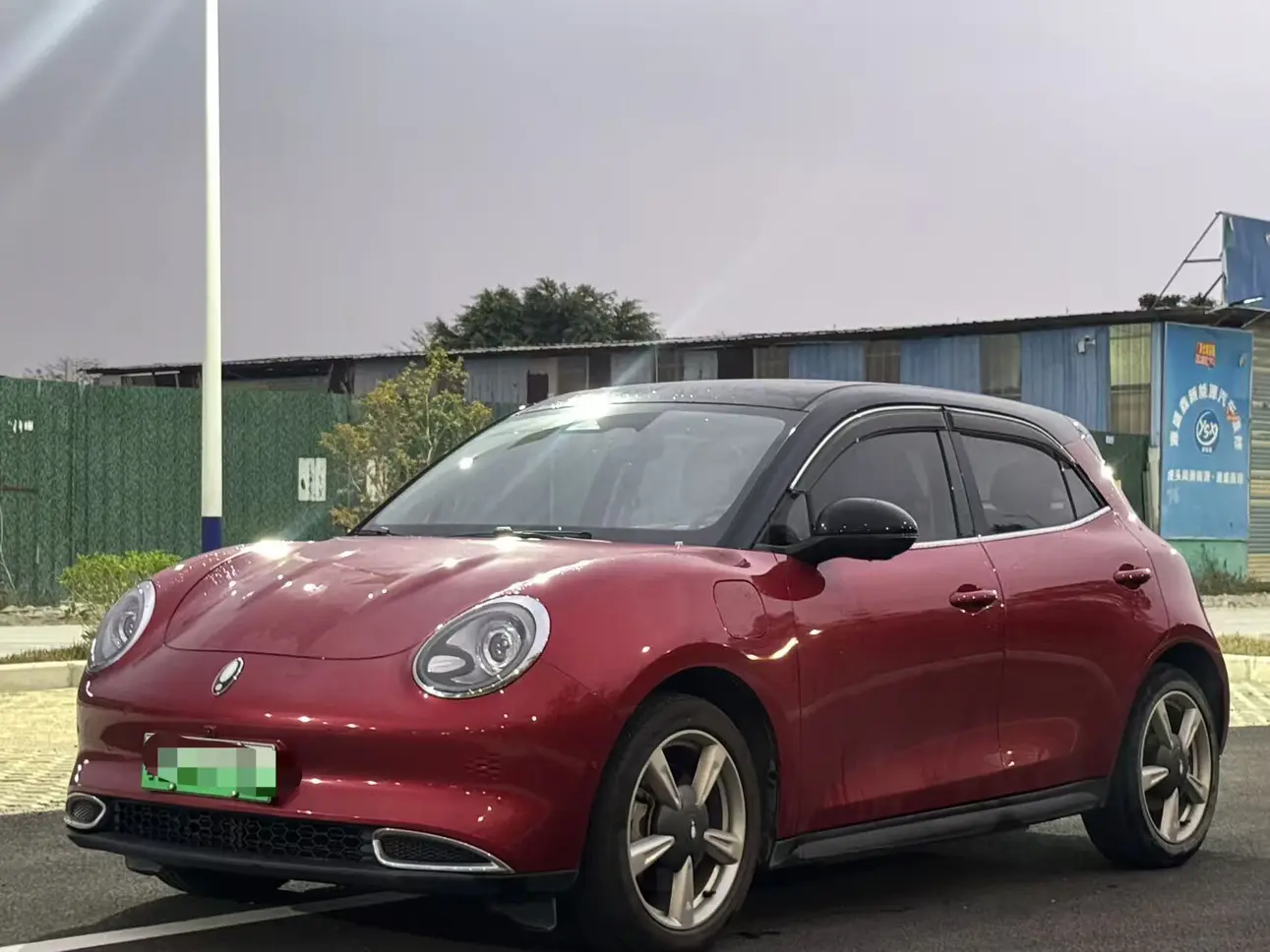 ORA Euler good cat  из Китая