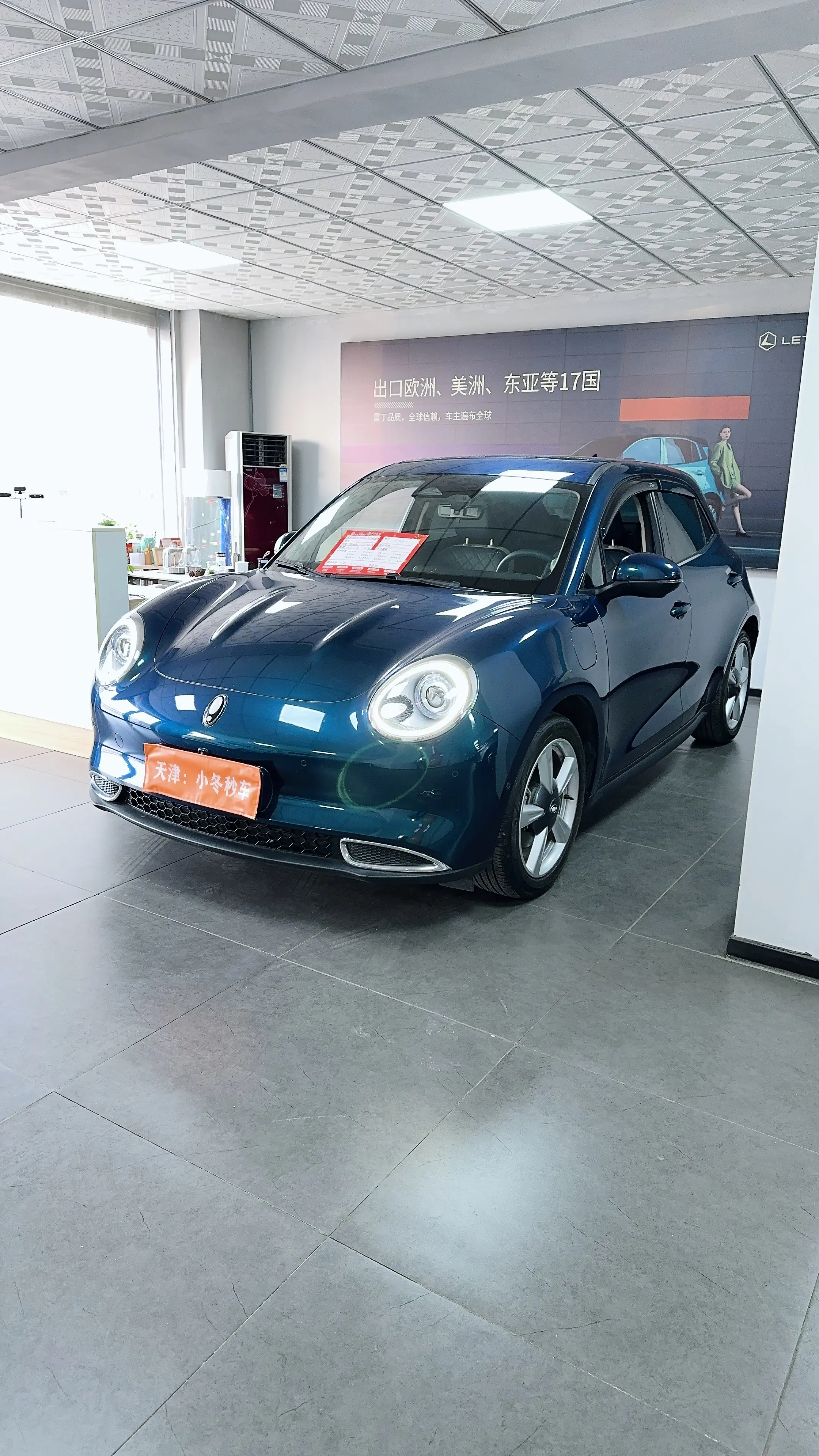 ORA Euler good cat  из Китая