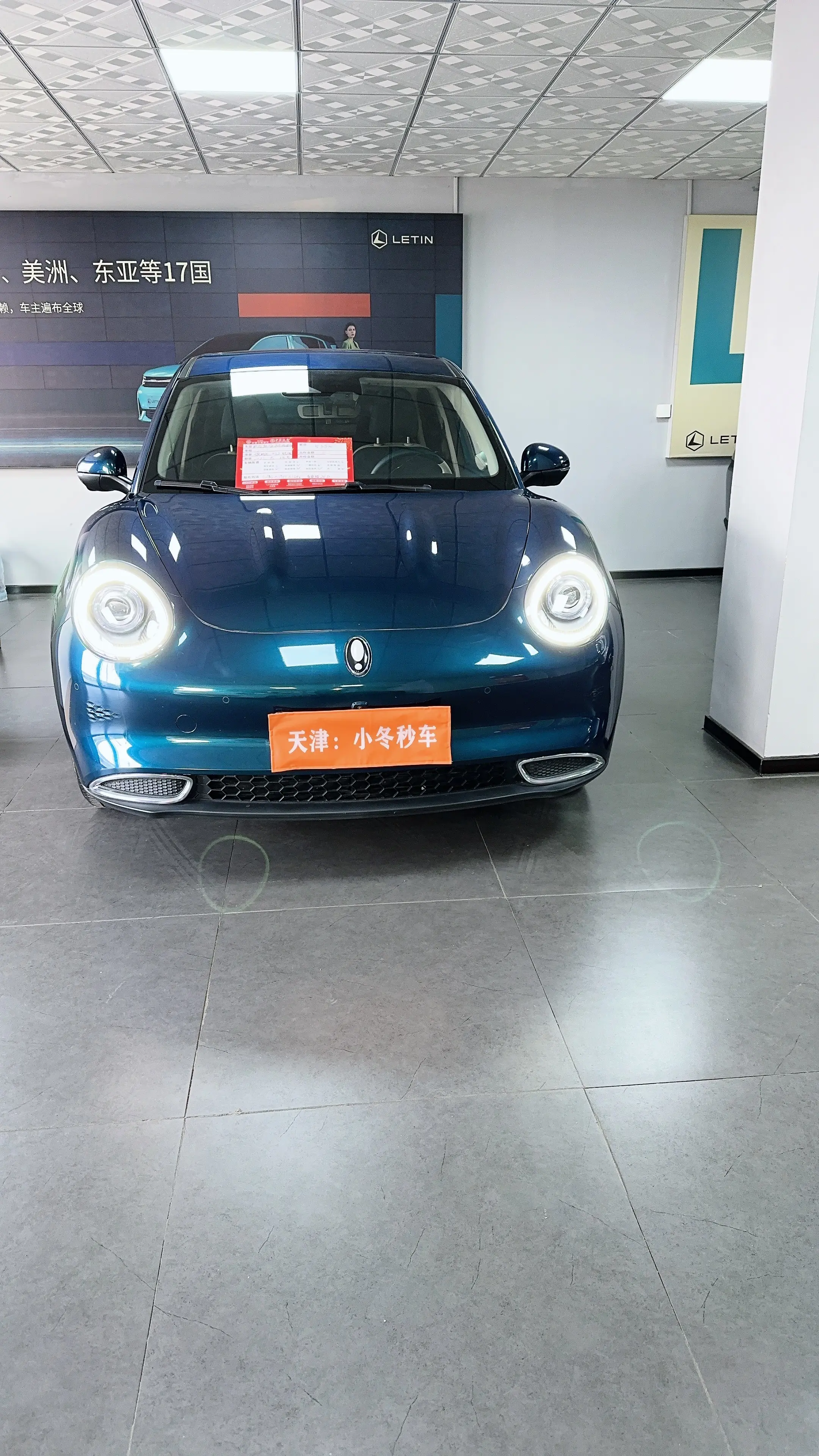 ORA Euler good cat  из Китая