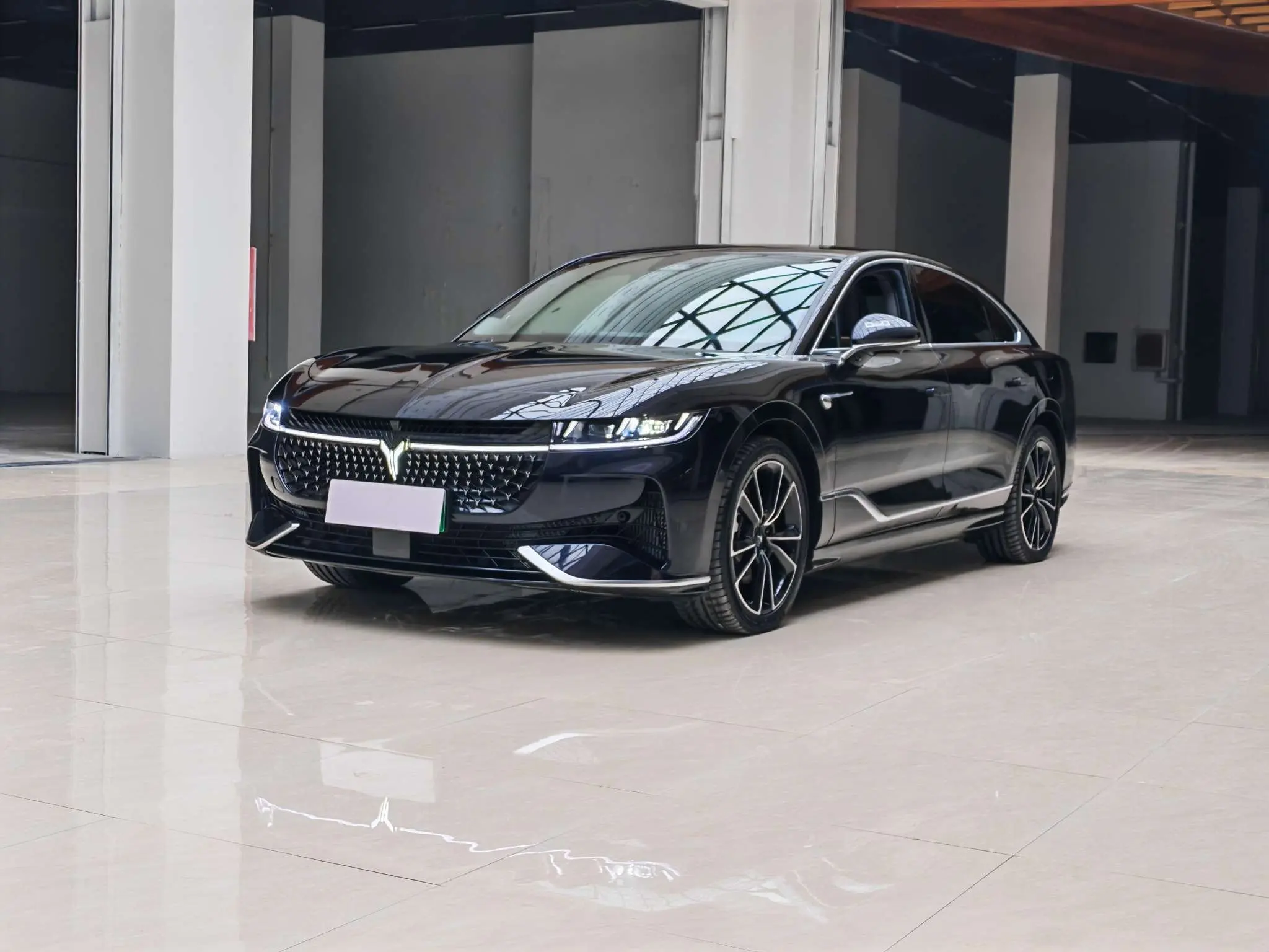 Voyah Passion PHEV