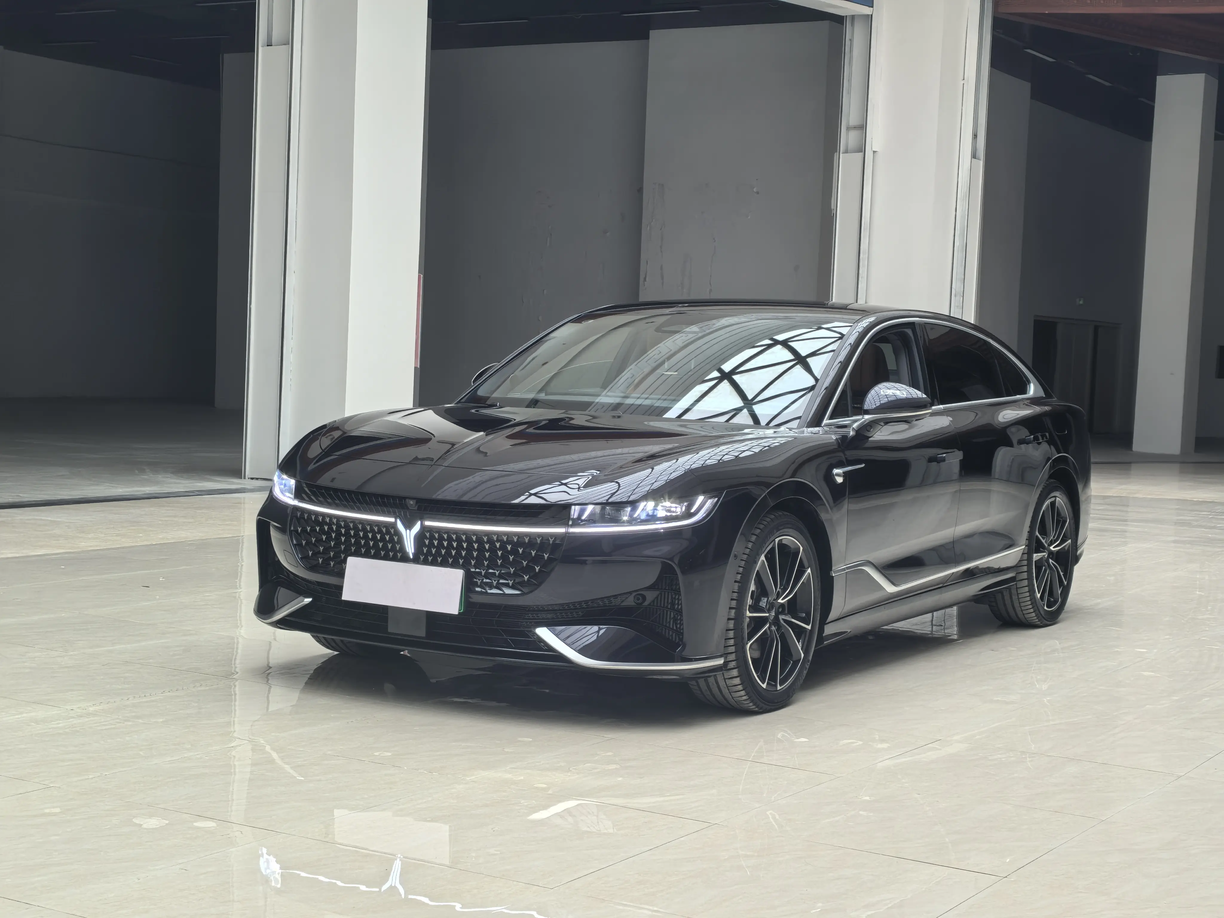 Voyah Passion PHEV