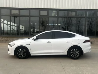 BYD Qin PLUS DM