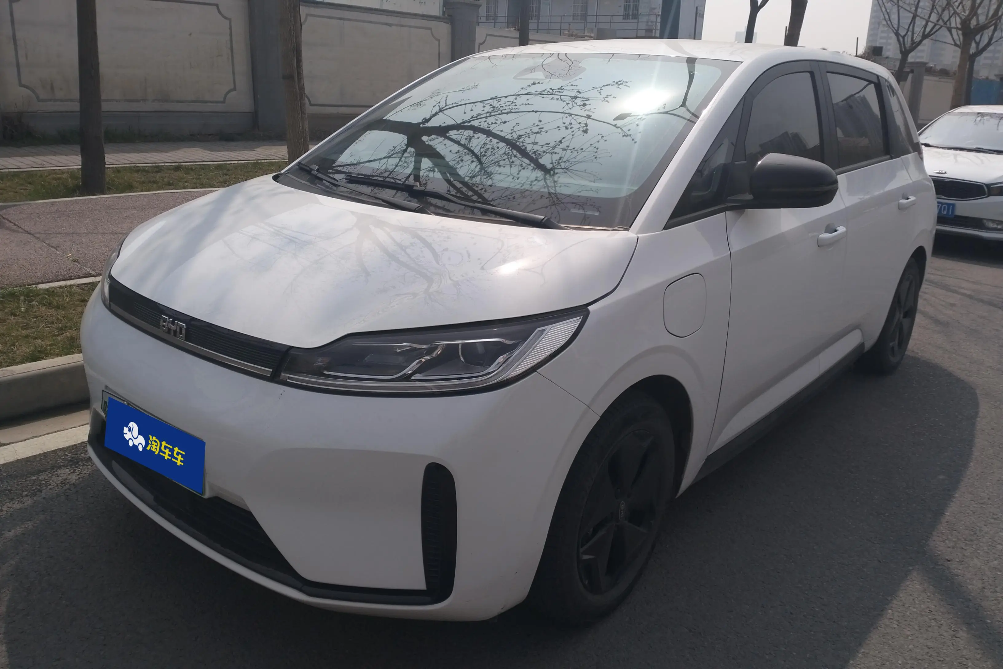 BYD D1