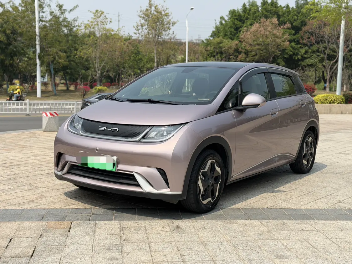 BYD Dolphin  из Китая