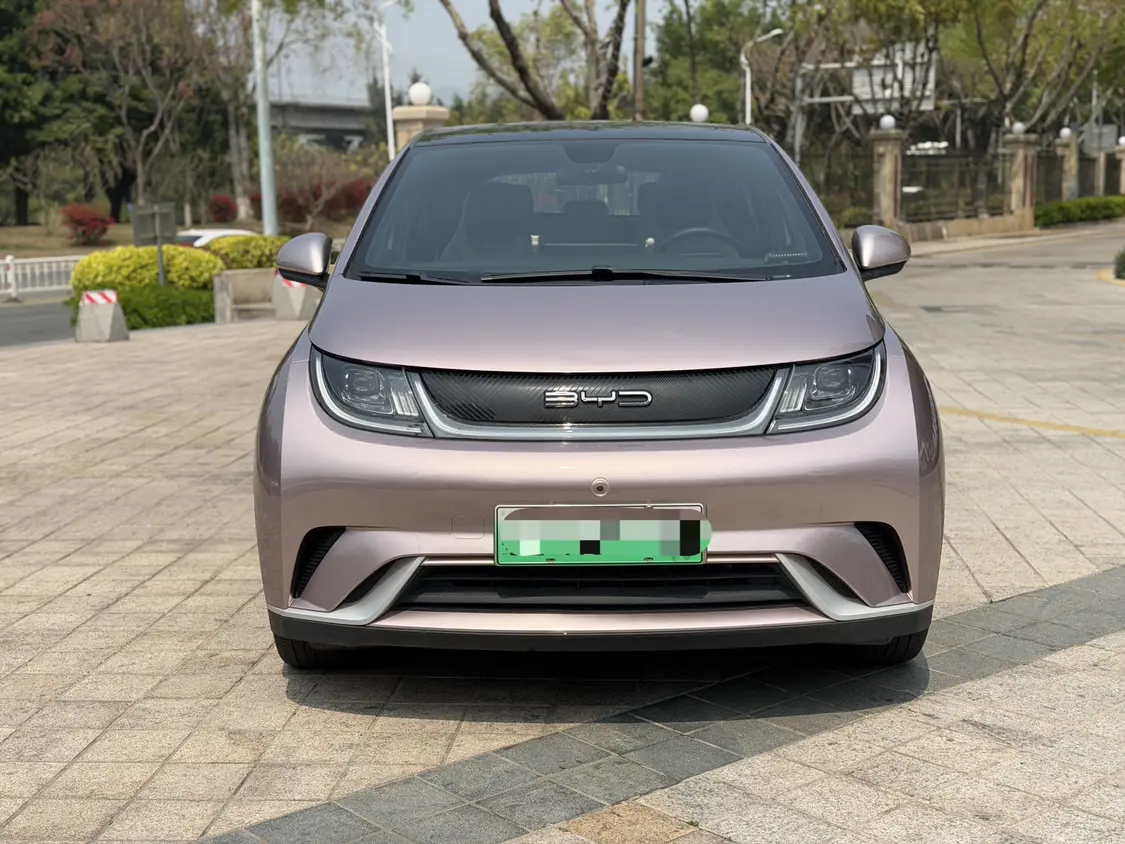 BYD Dolphin  из Китая