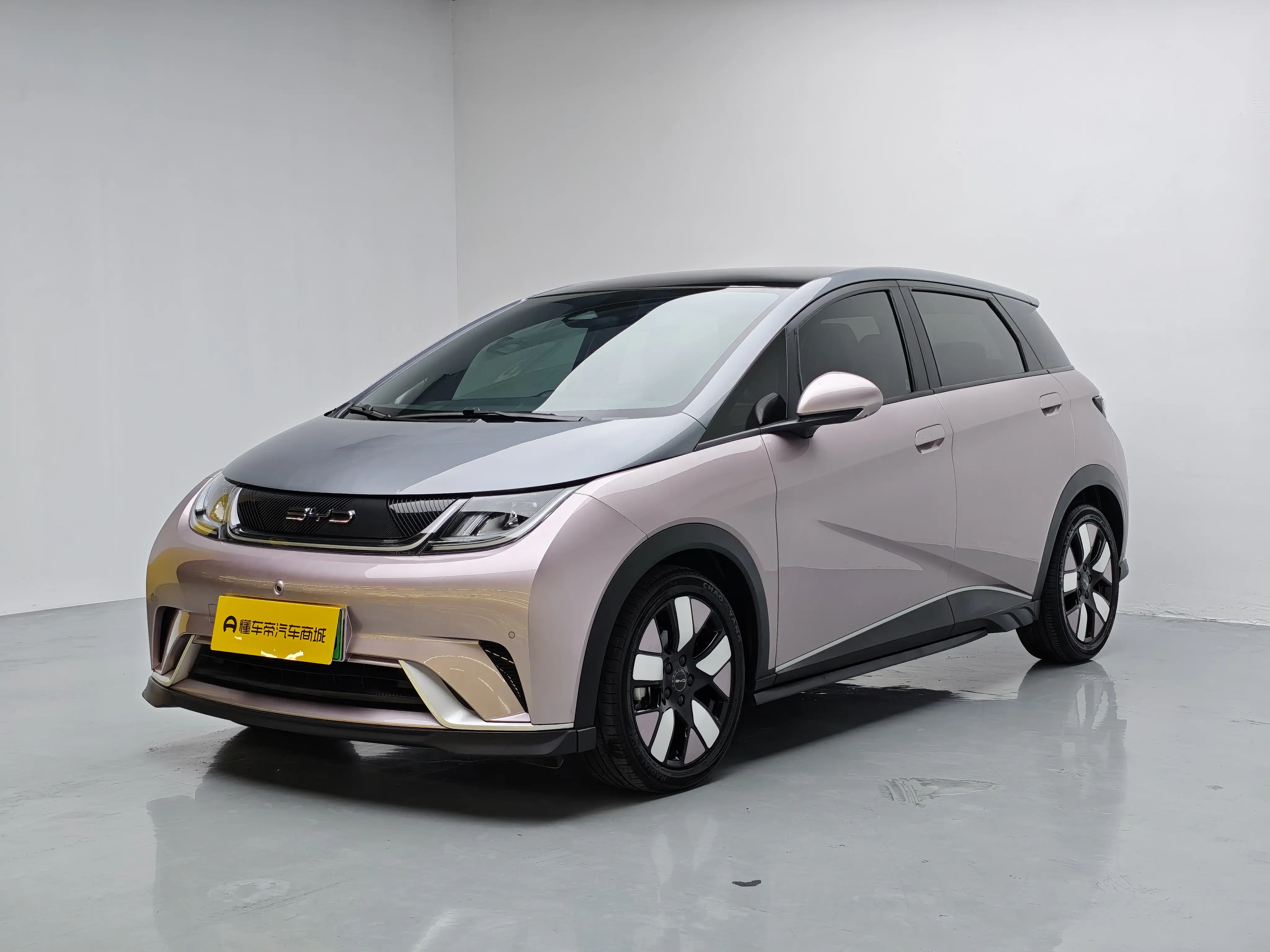 BYD Dolphin  из Китая