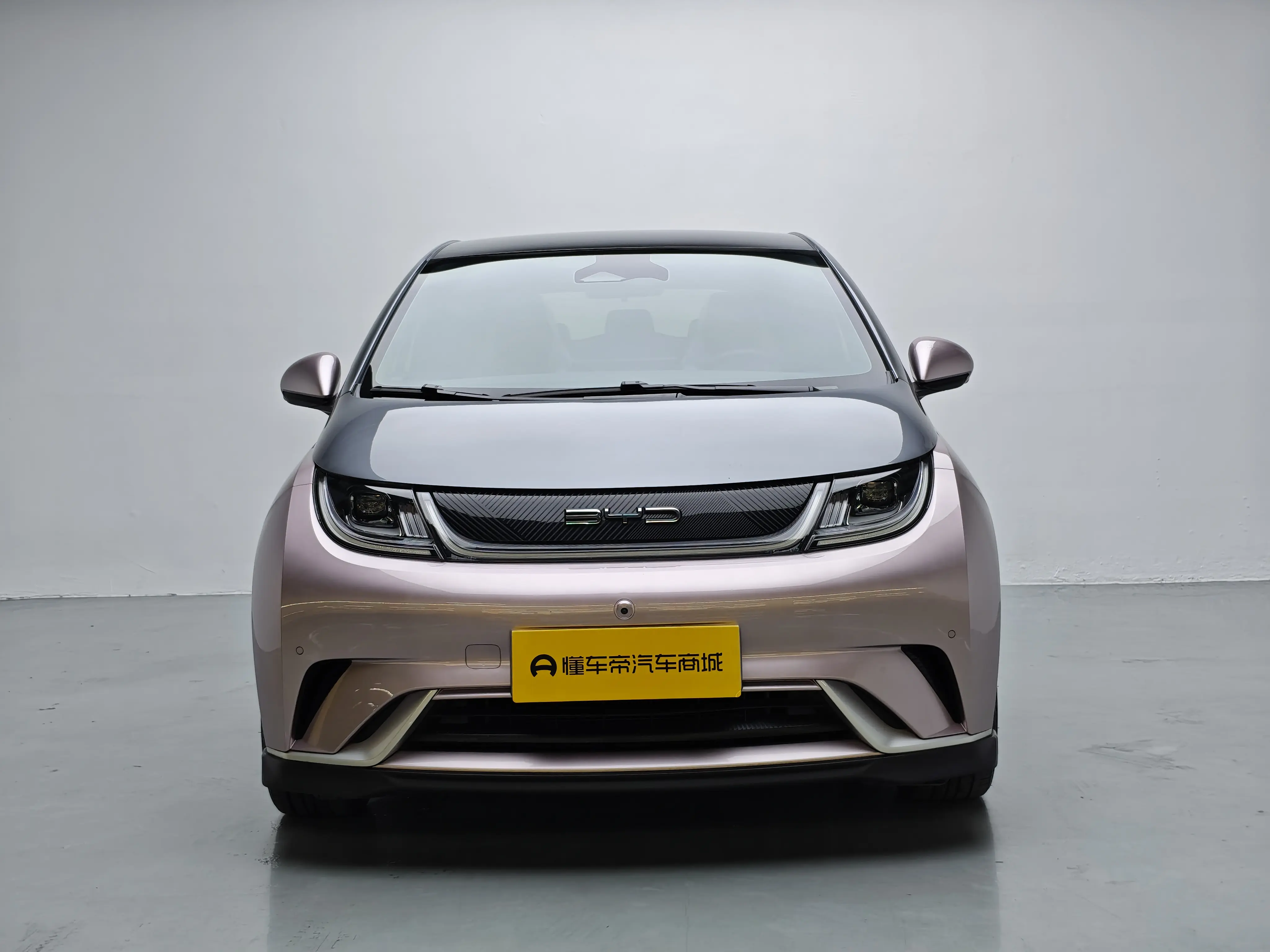 BYD Dolphin  из Китая