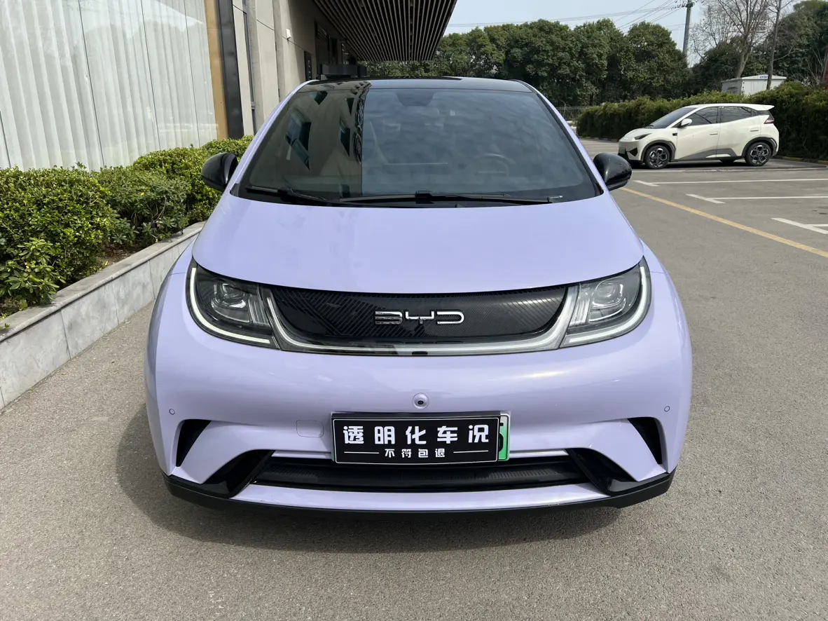 BYD Dolphin  из Китая