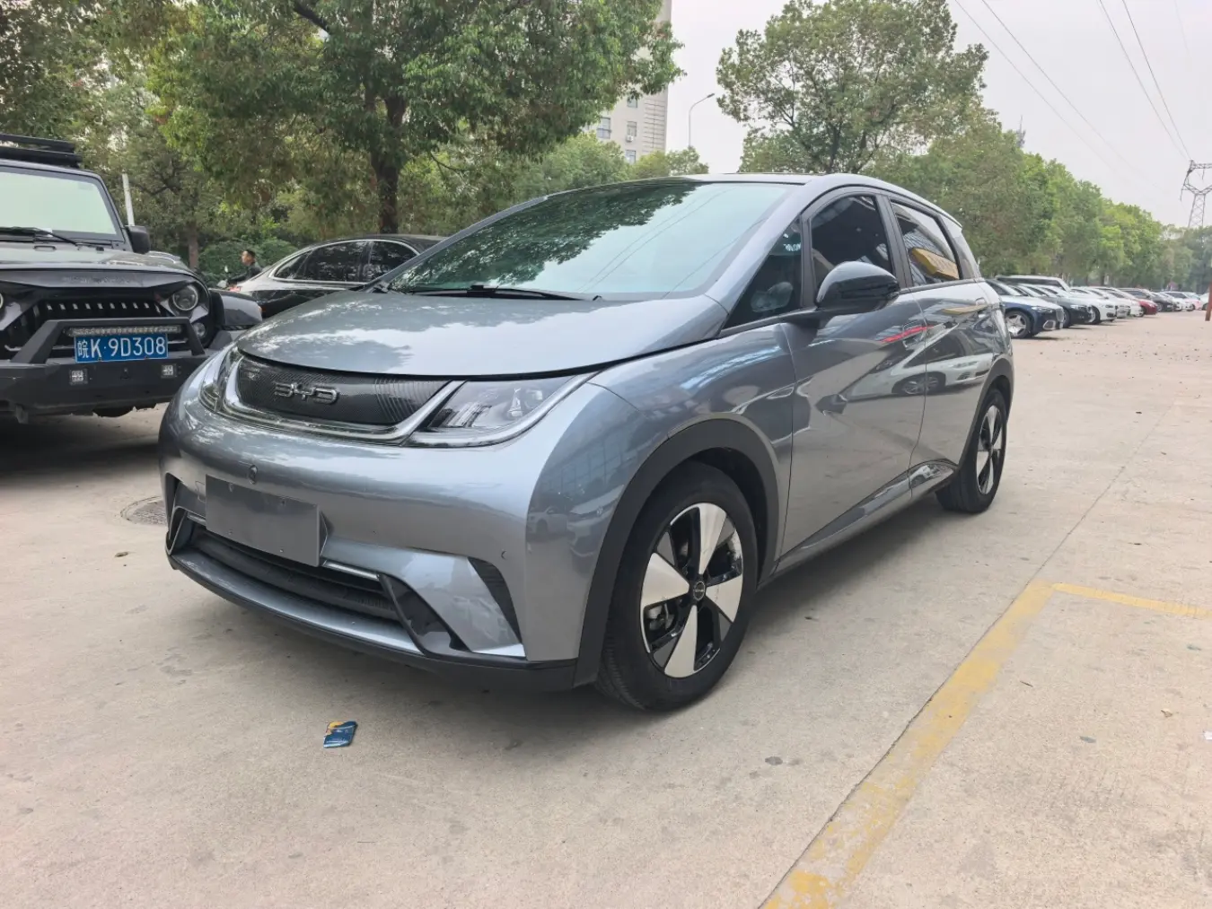 BYD Dolphin  из Китая