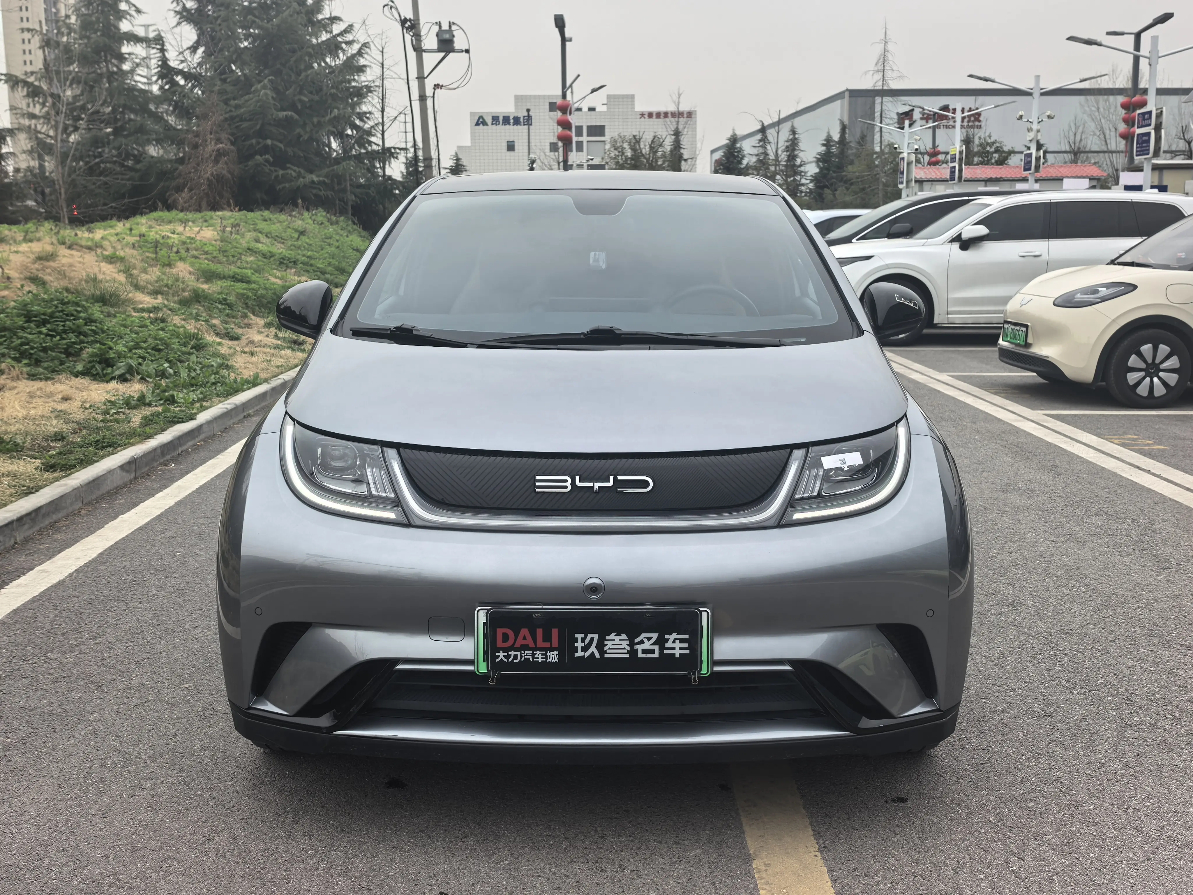 BYD Dolphin  из Китая