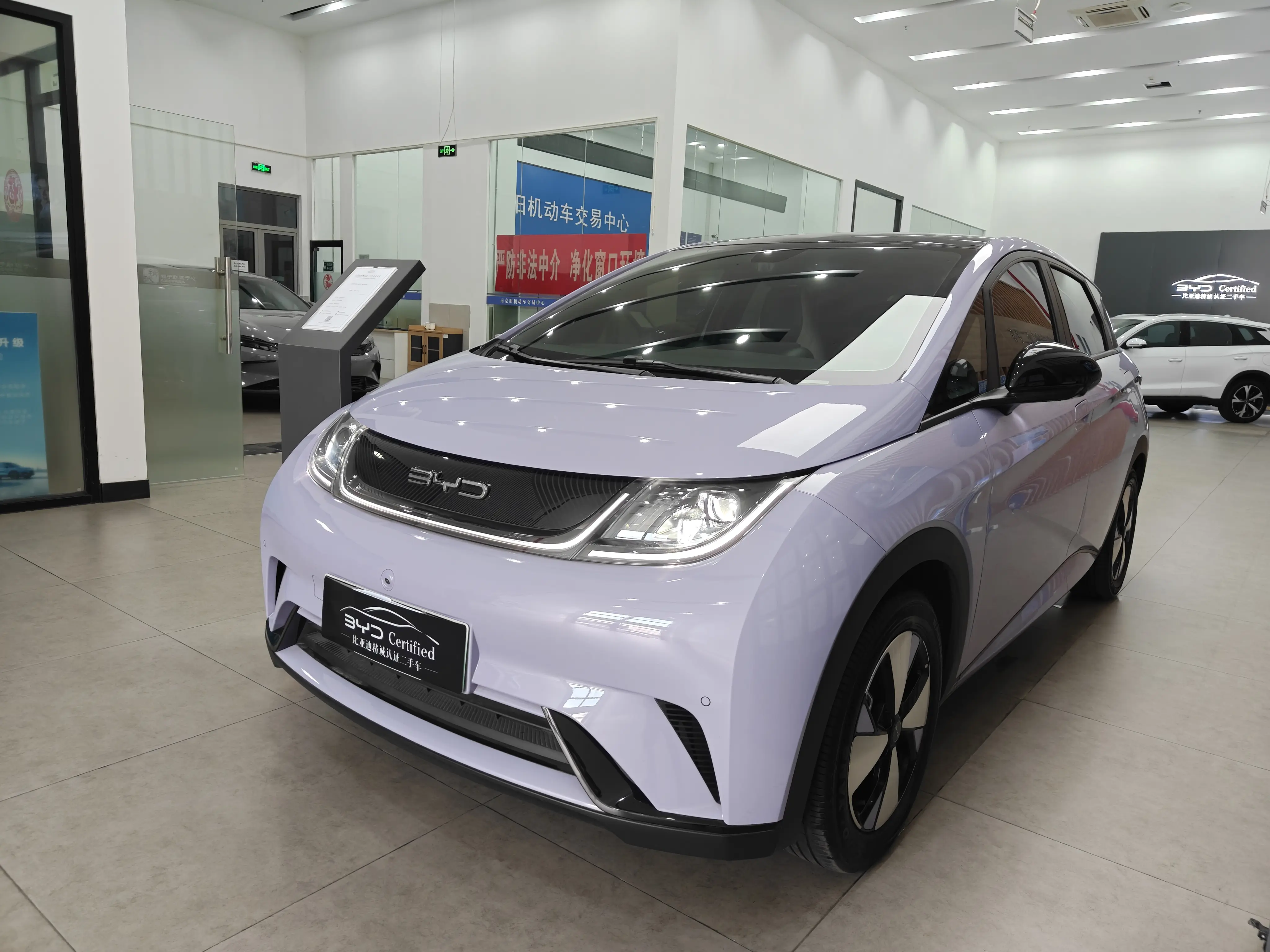 BYD Dolphin  из Китая