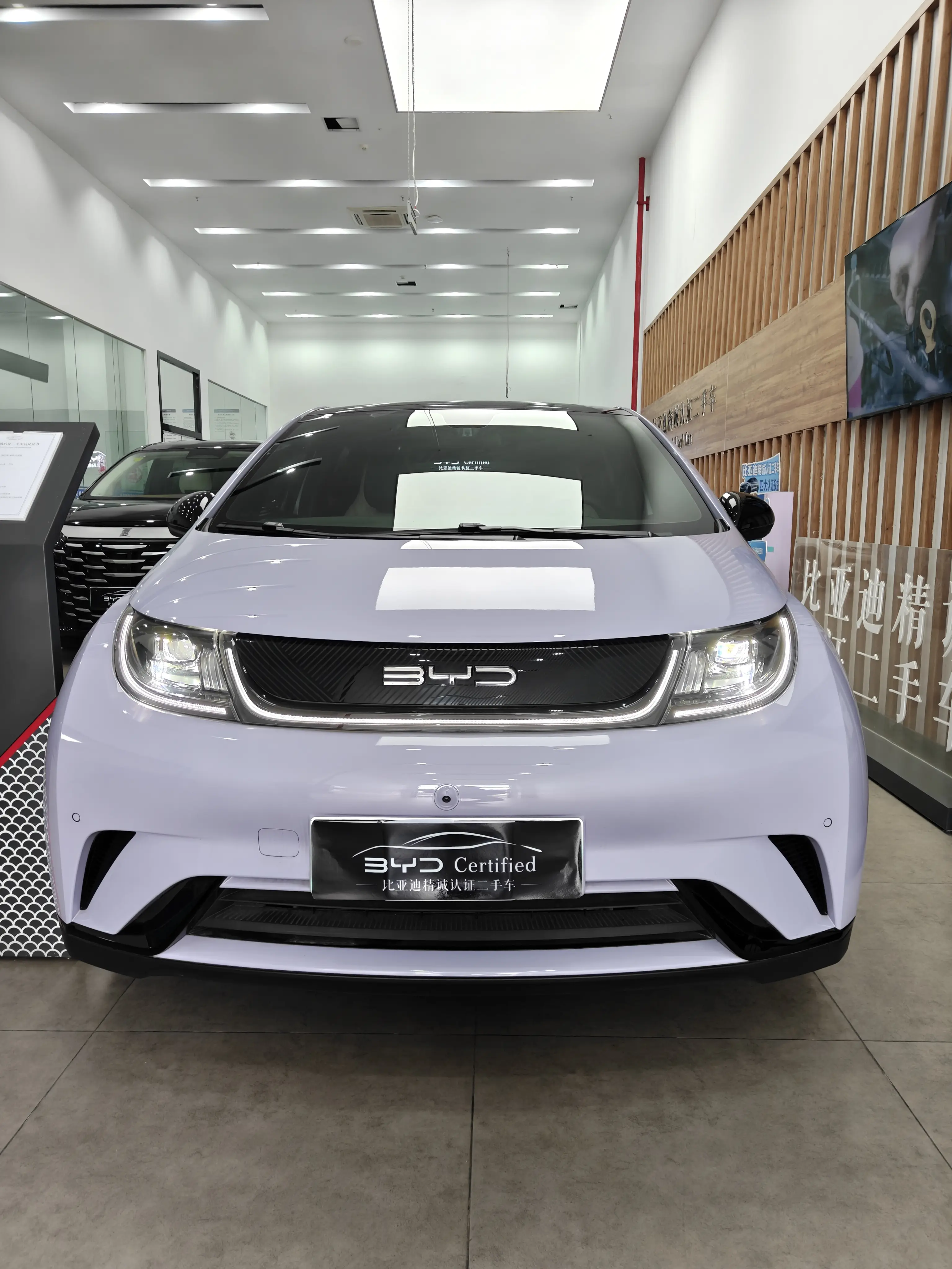 BYD Dolphin  из Китая