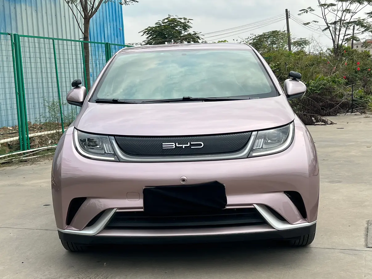 BYD Dolphin  из Китая