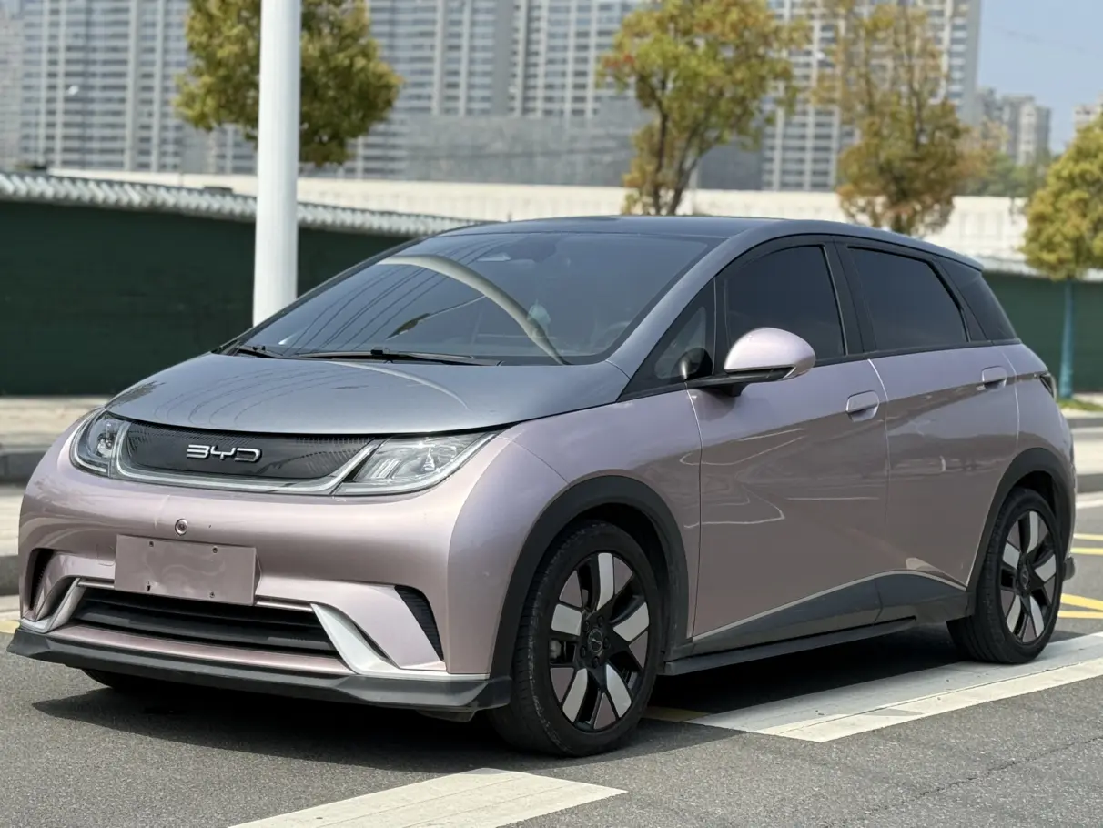 BYD Dolphin  из Китая