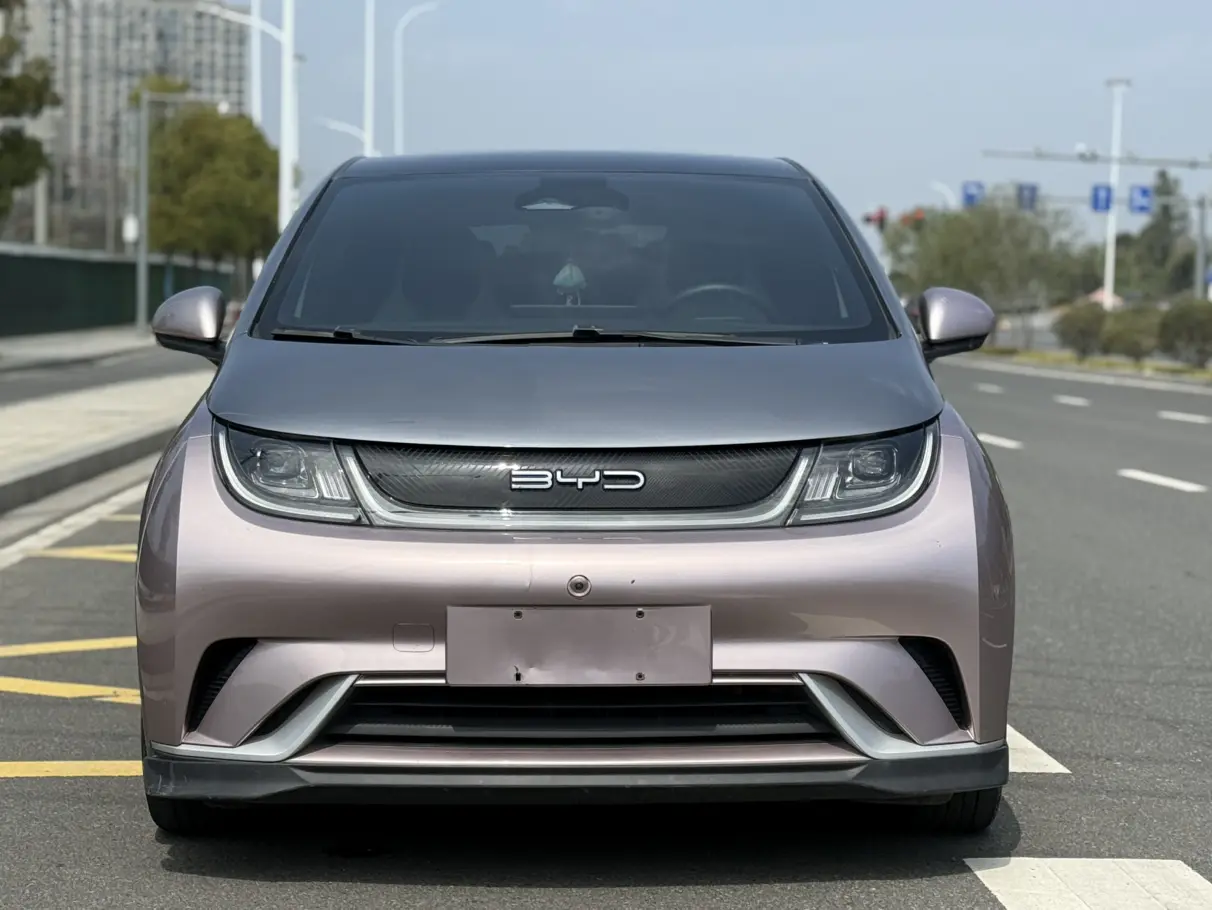 BYD Dolphin  из Китая