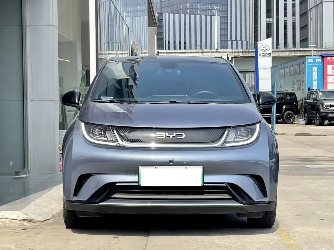 BYD Dolphin  из Китая