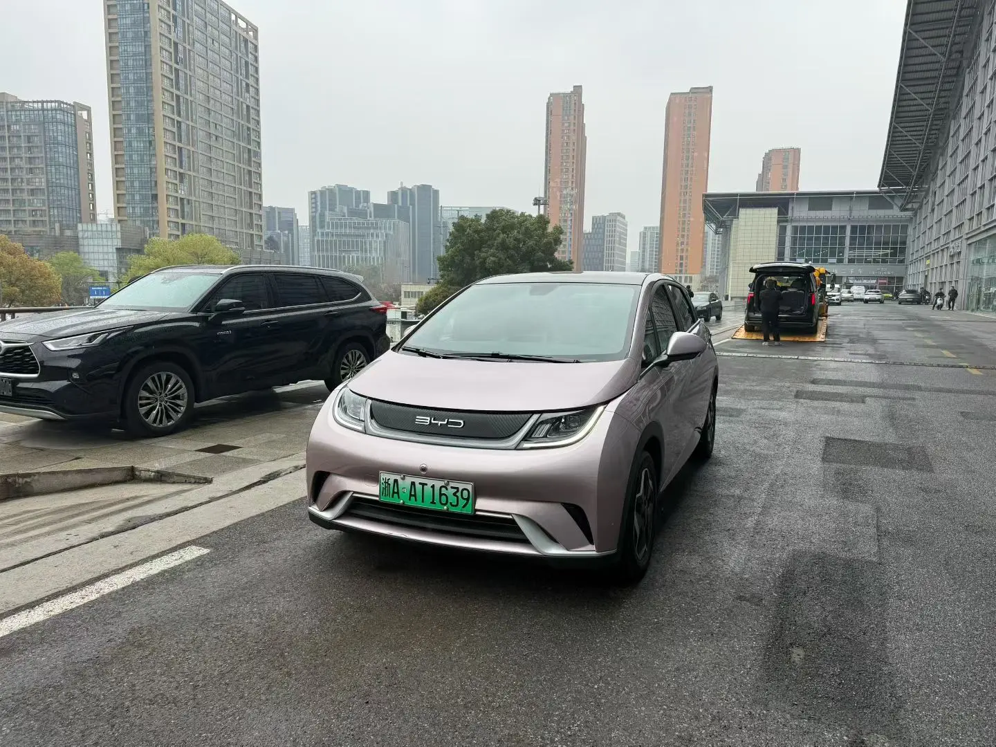 BYD Dolphin  из Китая