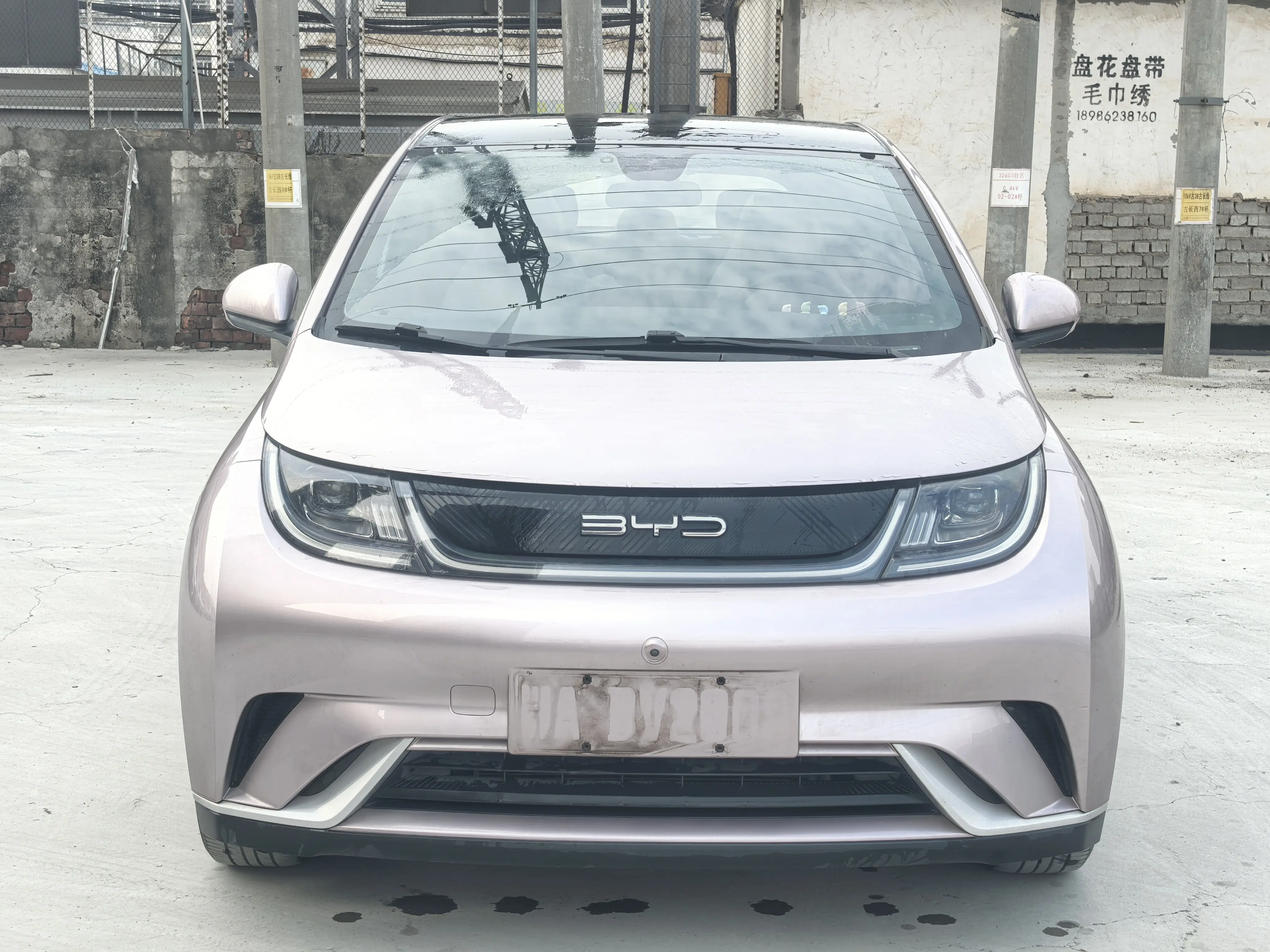 BYD Dolphin  из Китая