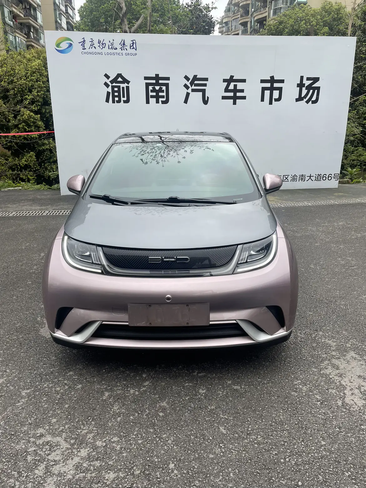 BYD Dolphin  из Китая