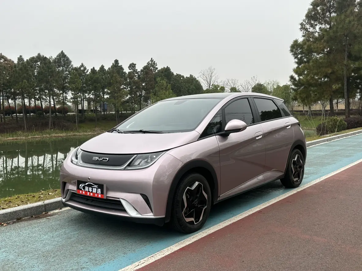 BYD Dolphin  из Китая