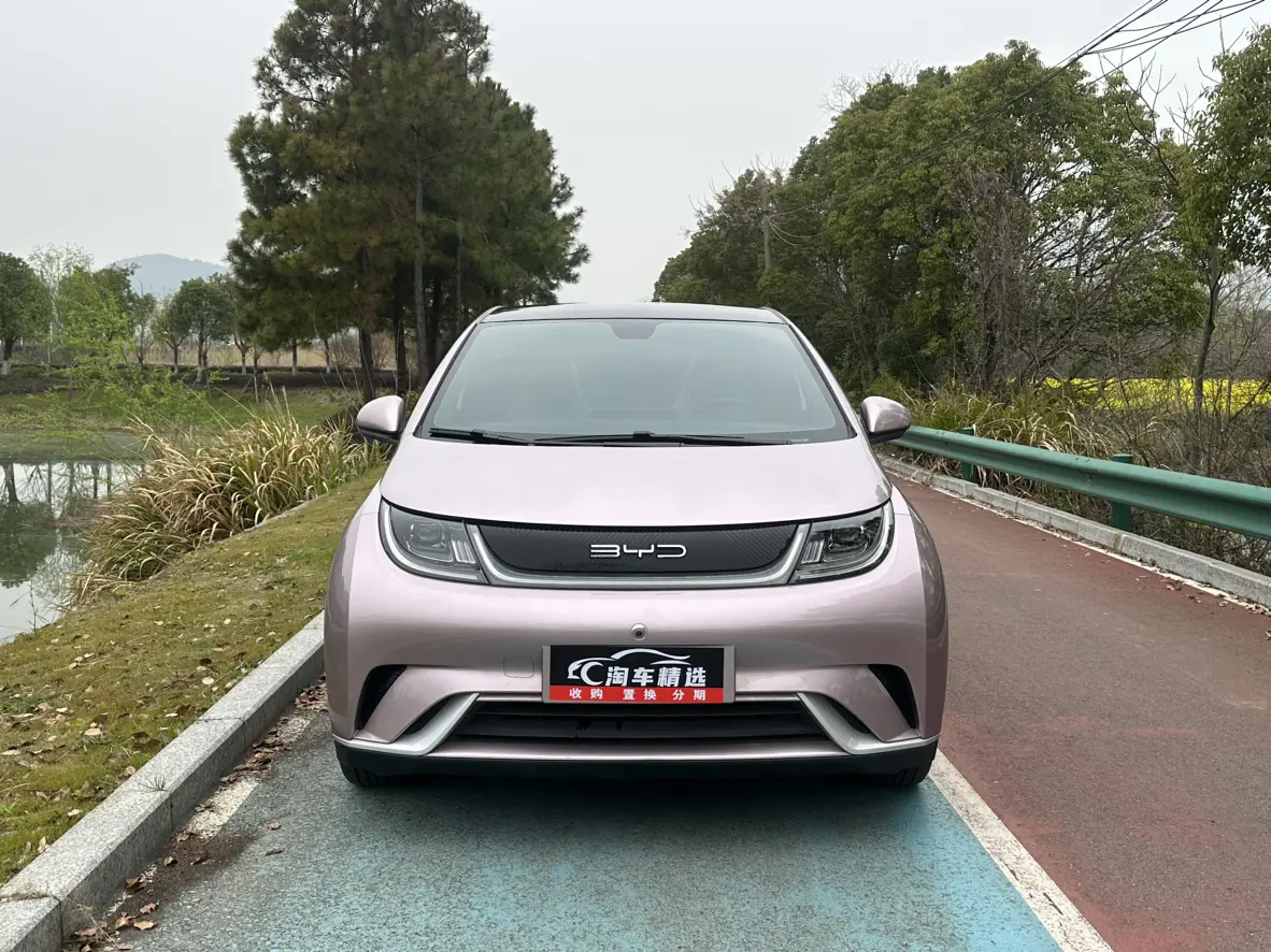 BYD Dolphin  из Китая