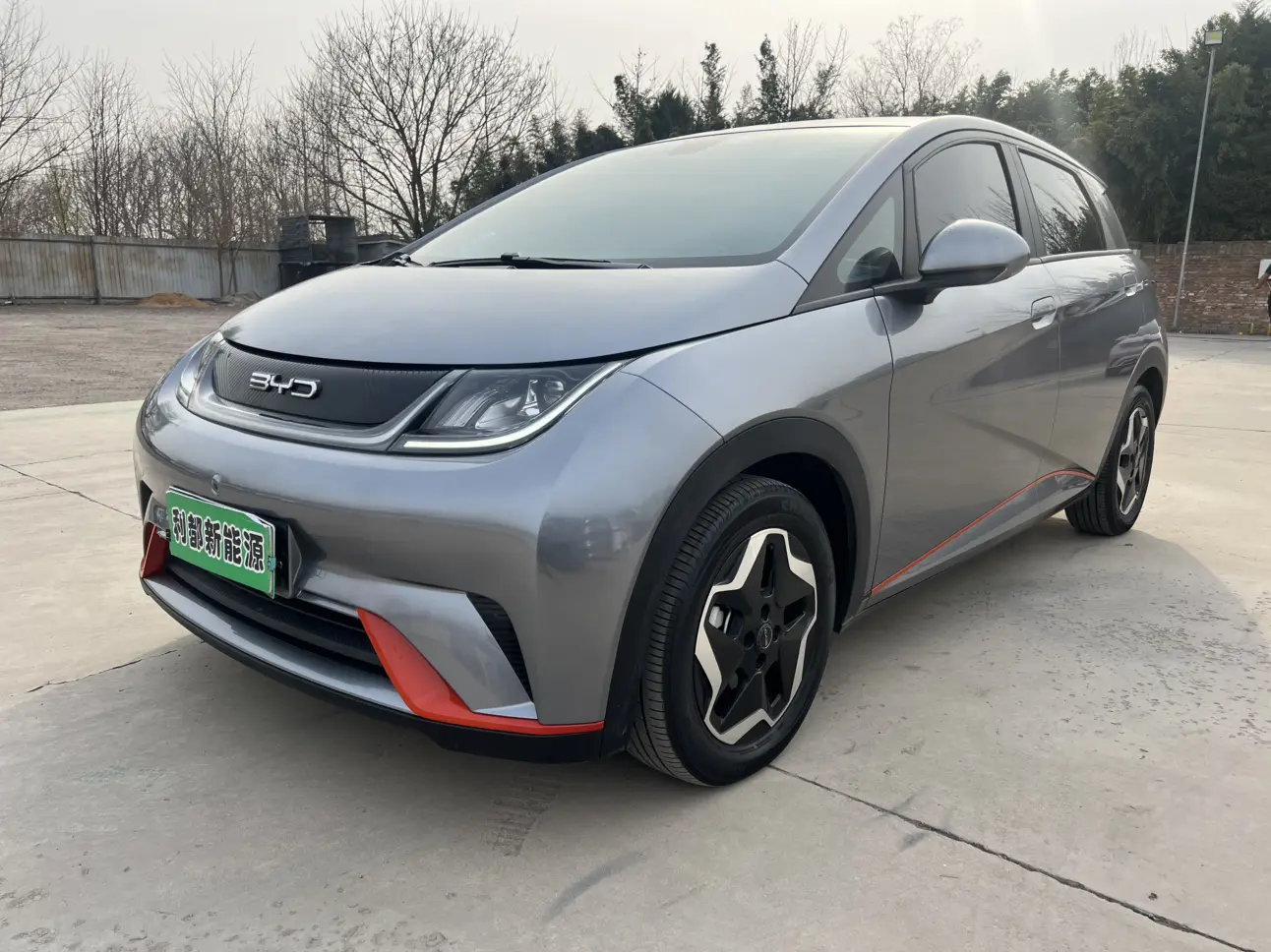 BYD Dolphin  из Китая