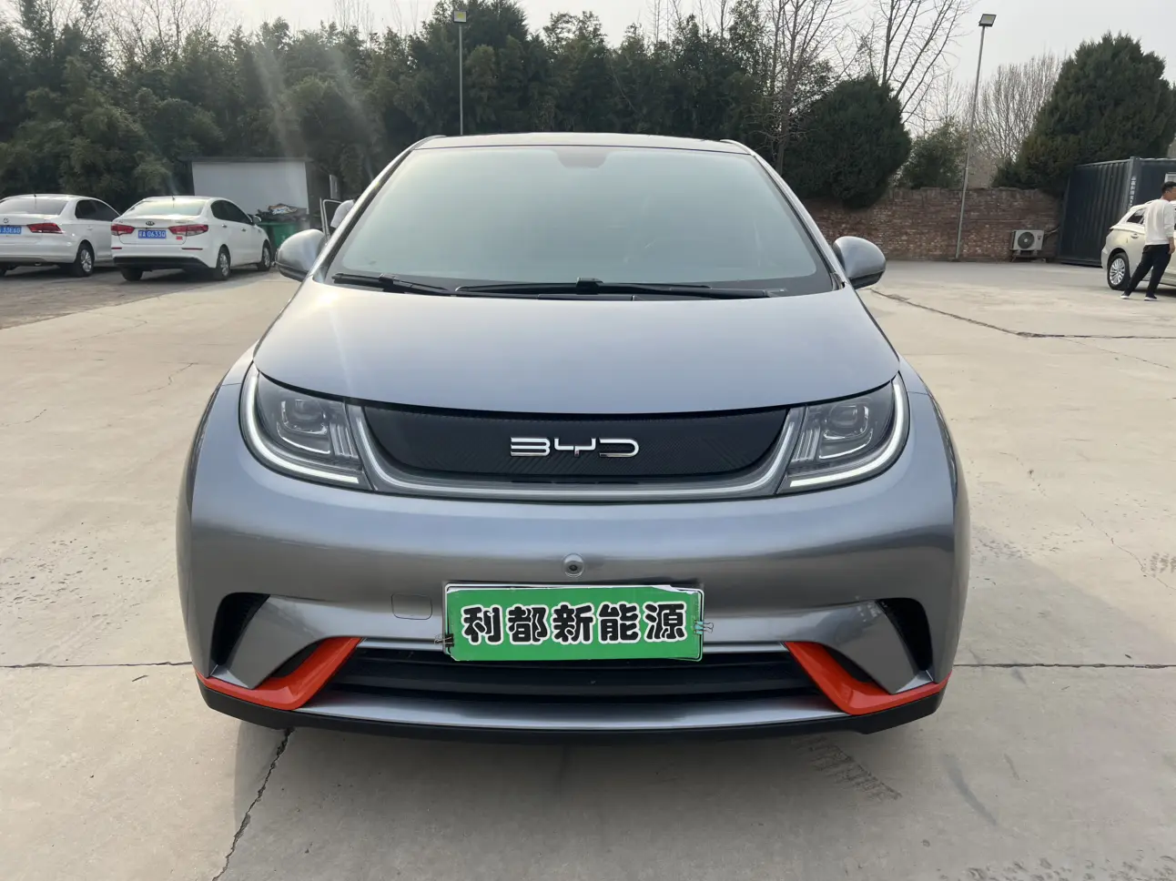 BYD Dolphin  из Китая