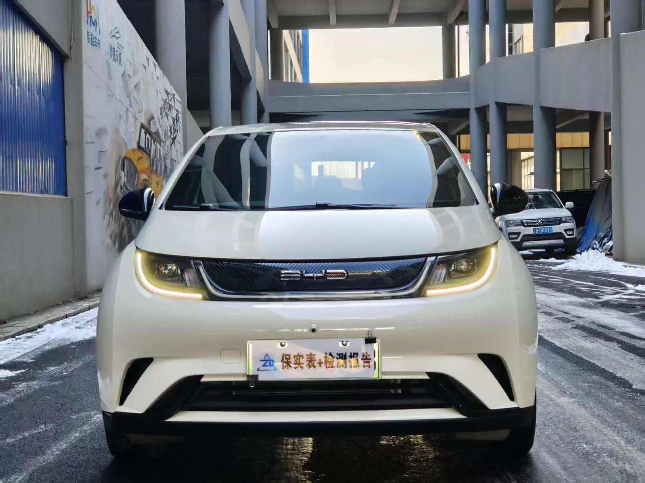 BYD Dolphin  из Китая