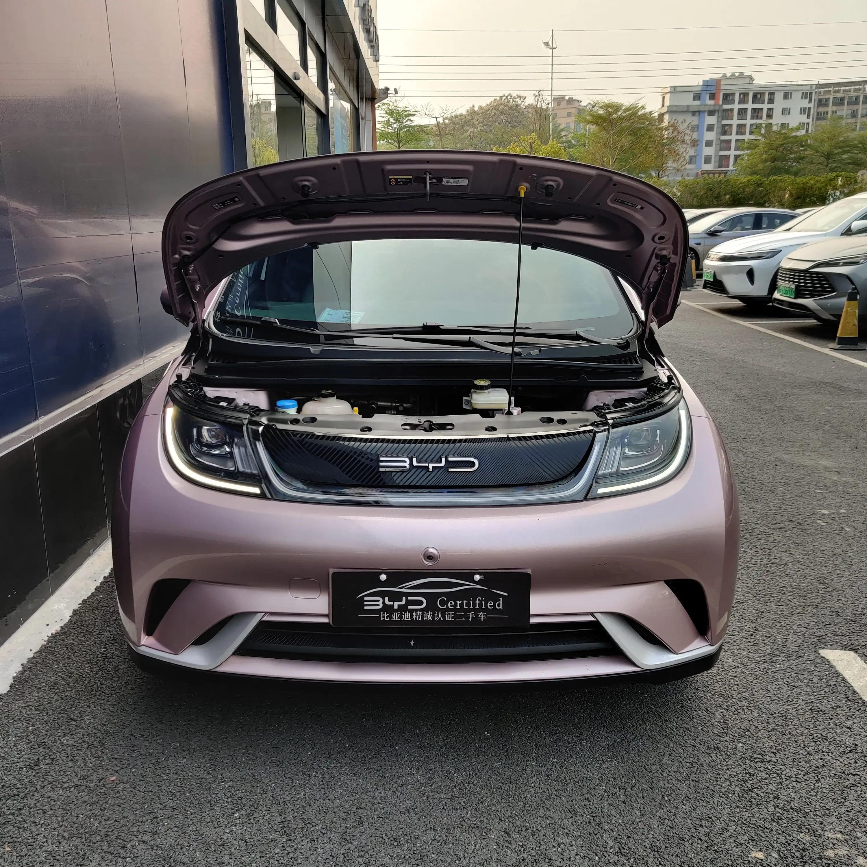 BYD Dolphin  из Китая