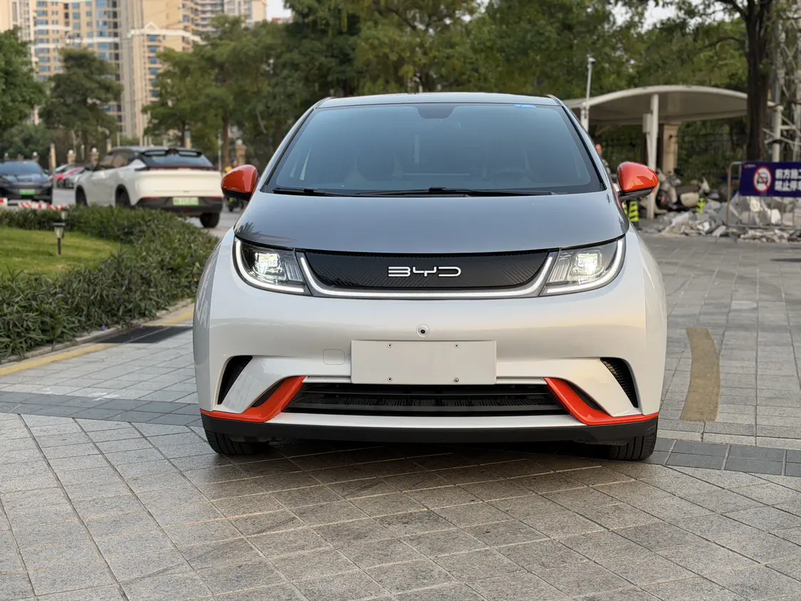BYD Dolphin  из Китая