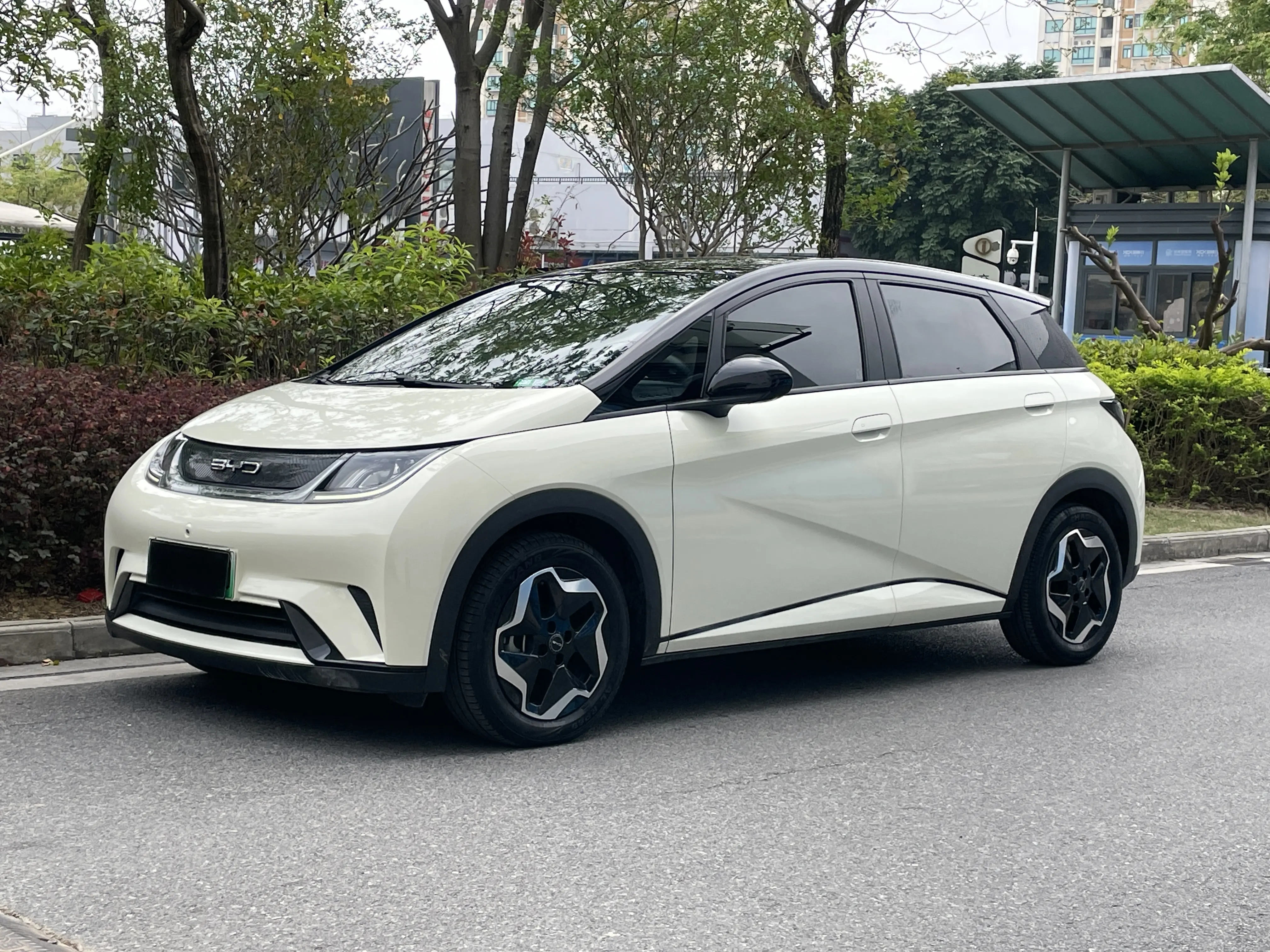 BYD Dolphin  из Китая