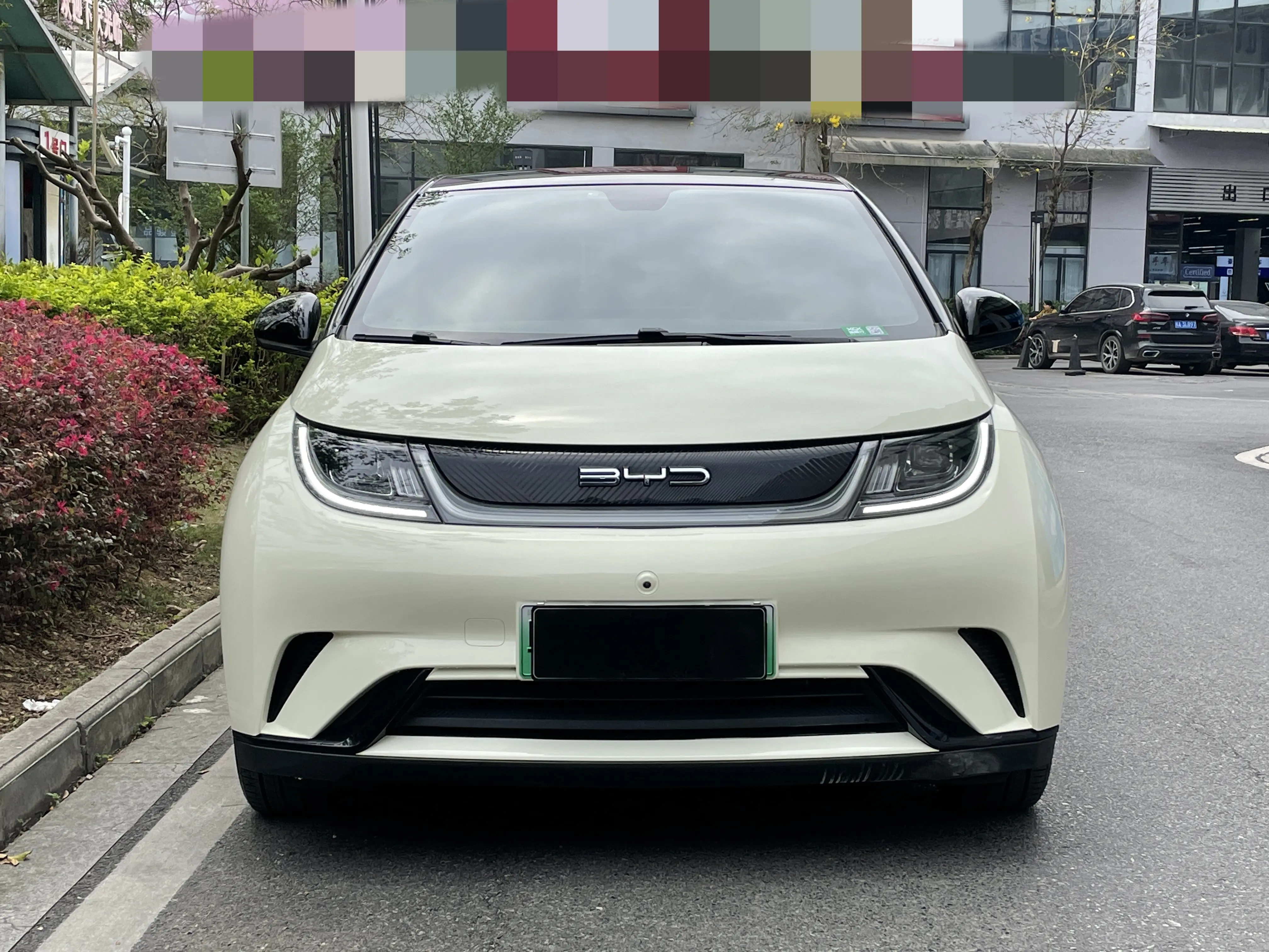 BYD Dolphin  из Китая