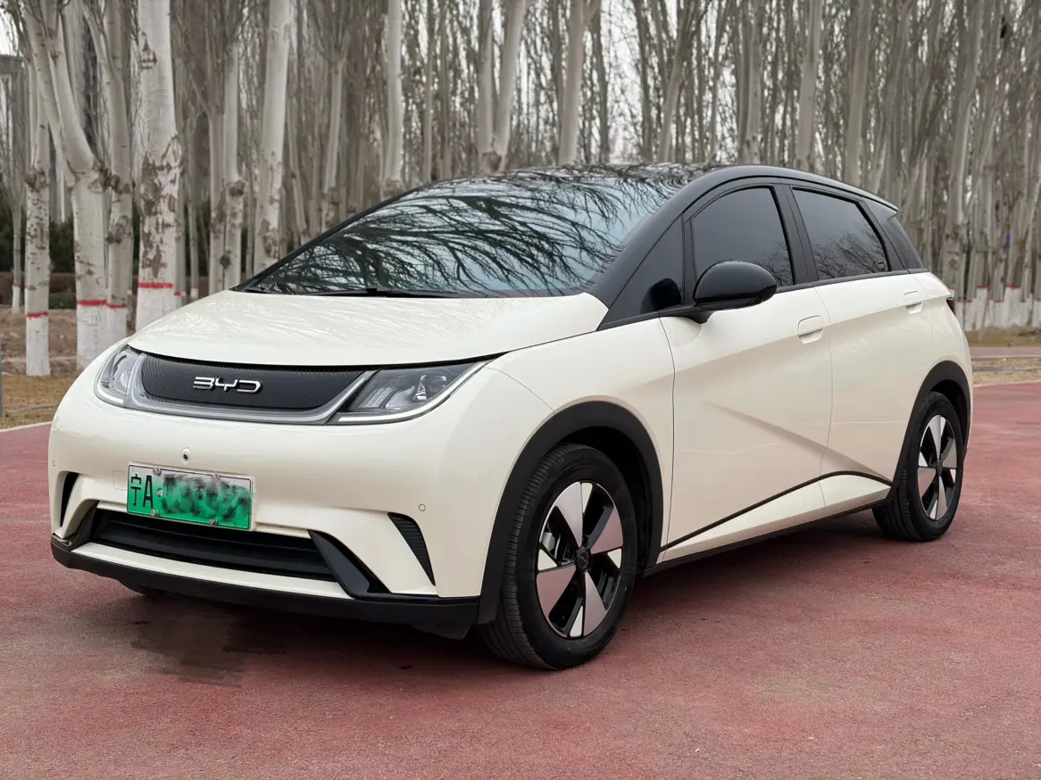 BYD Dolphin  из Китая