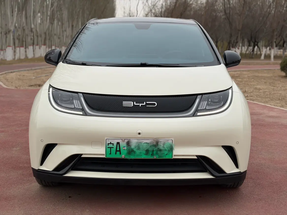 BYD Dolphin  из Китая