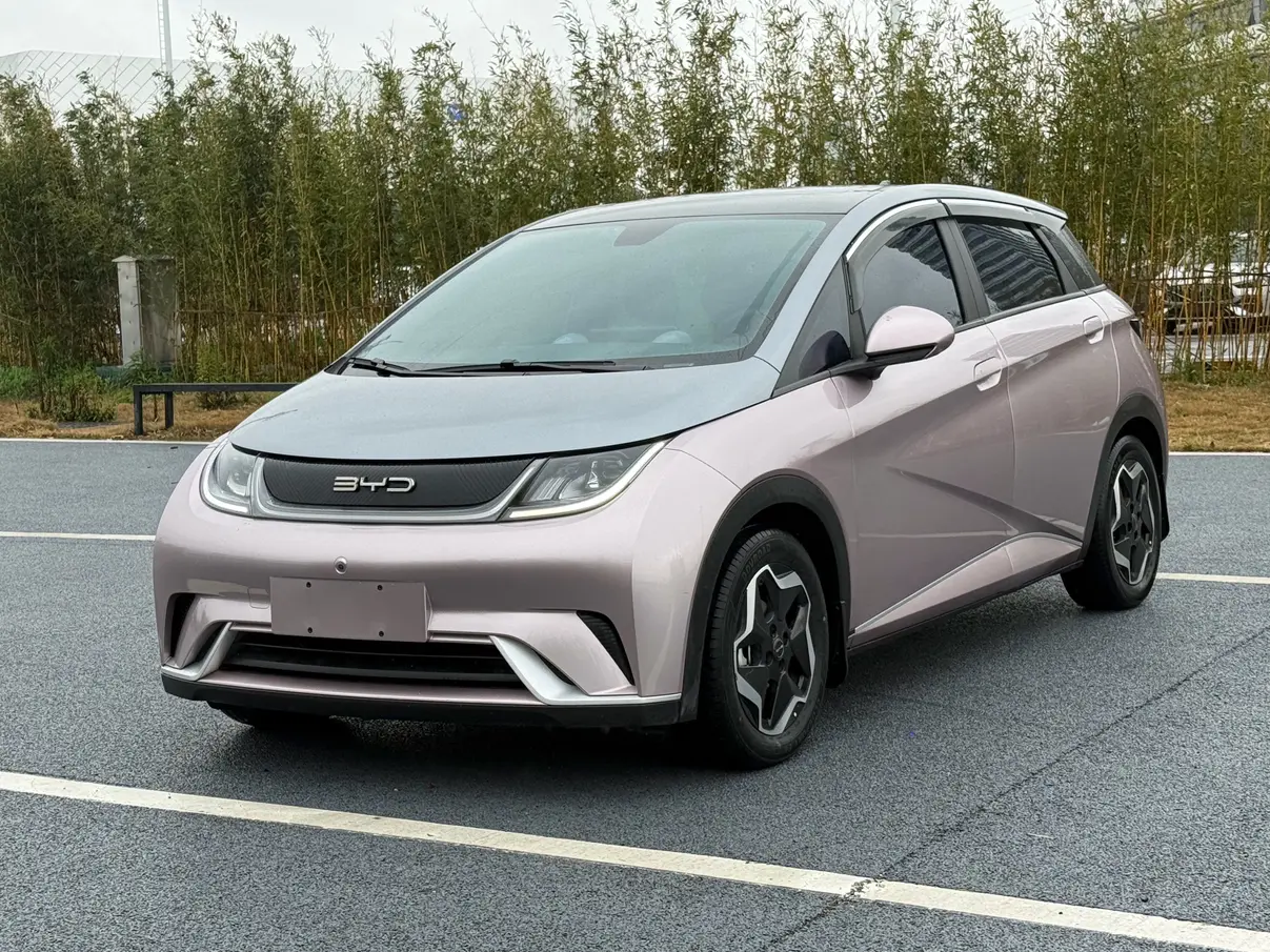 BYD Dolphin  из Китая