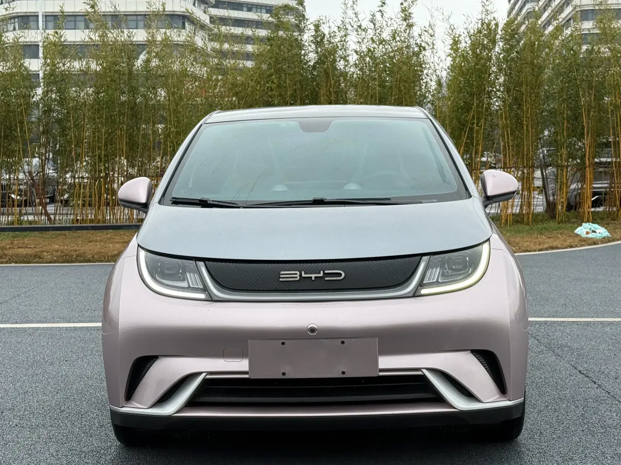 BYD Dolphin  из Китая