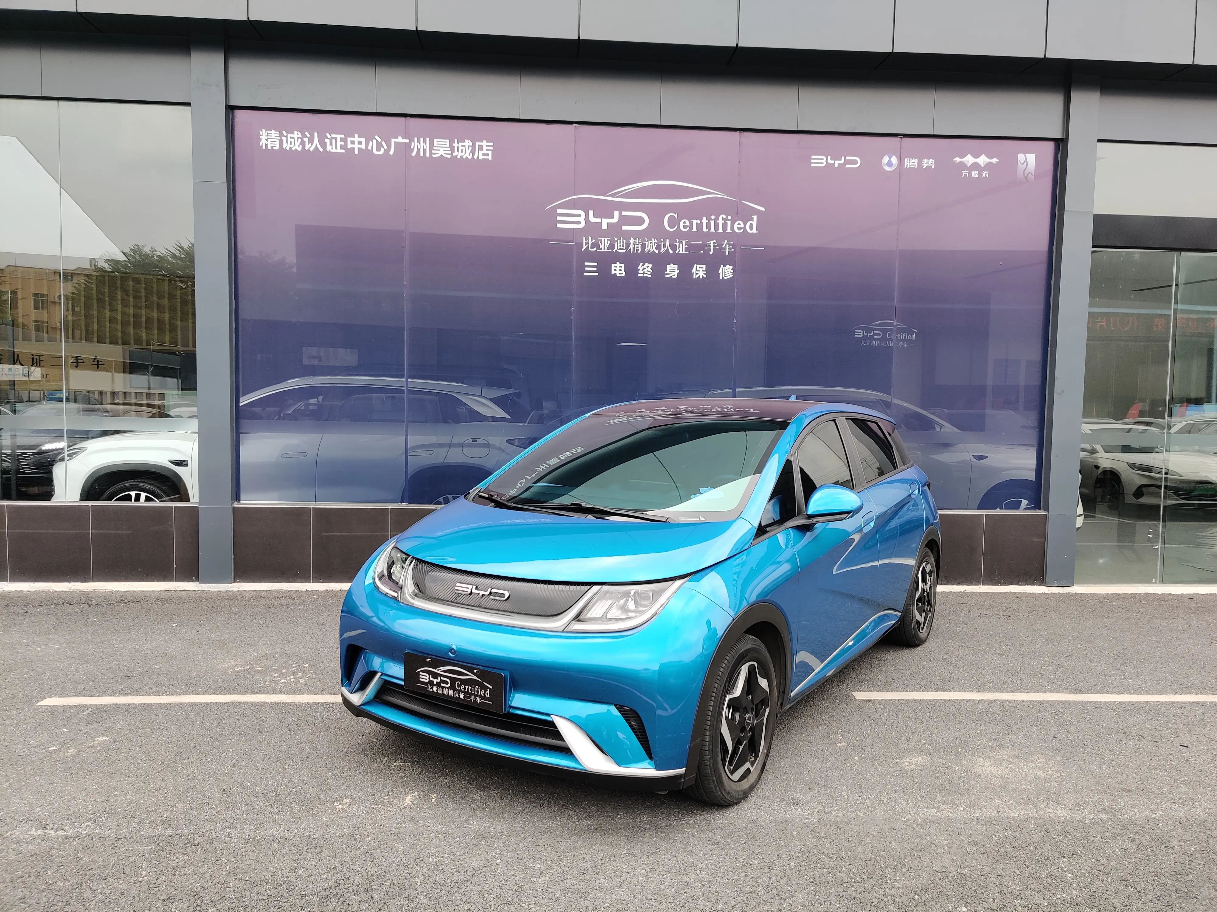 BYD Dolphin  из Китая