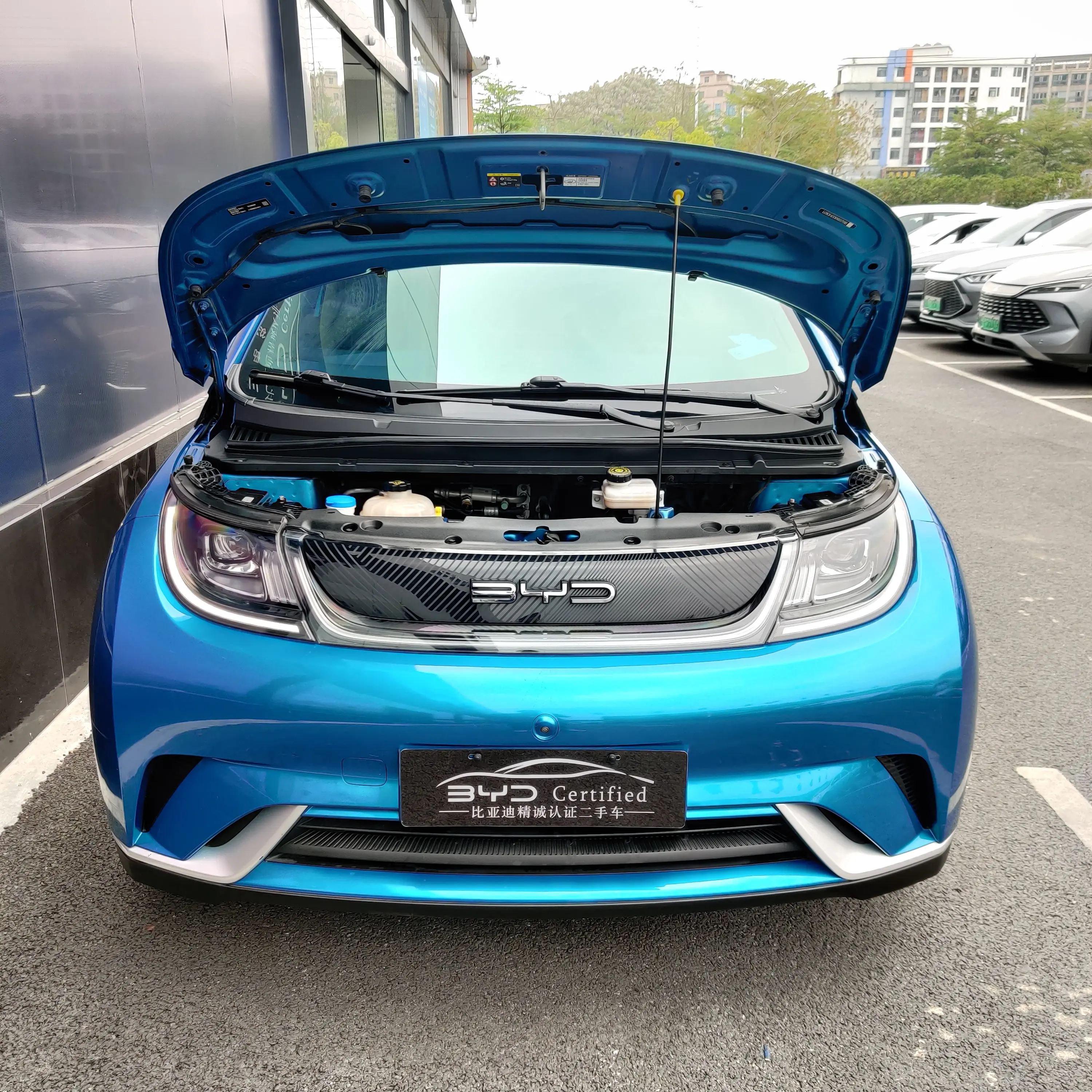 BYD Dolphin  из Китая