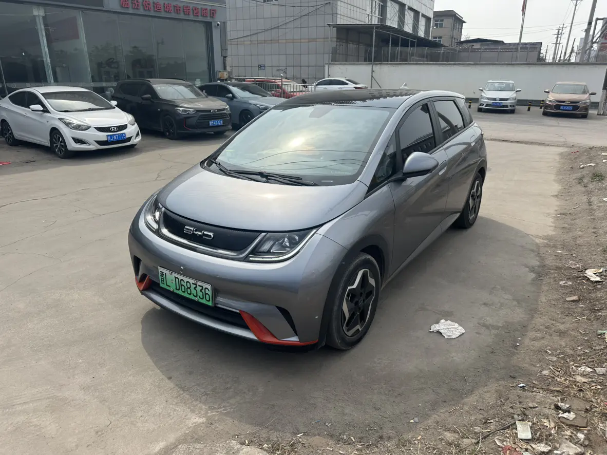 BYD Dolphin  из Китая