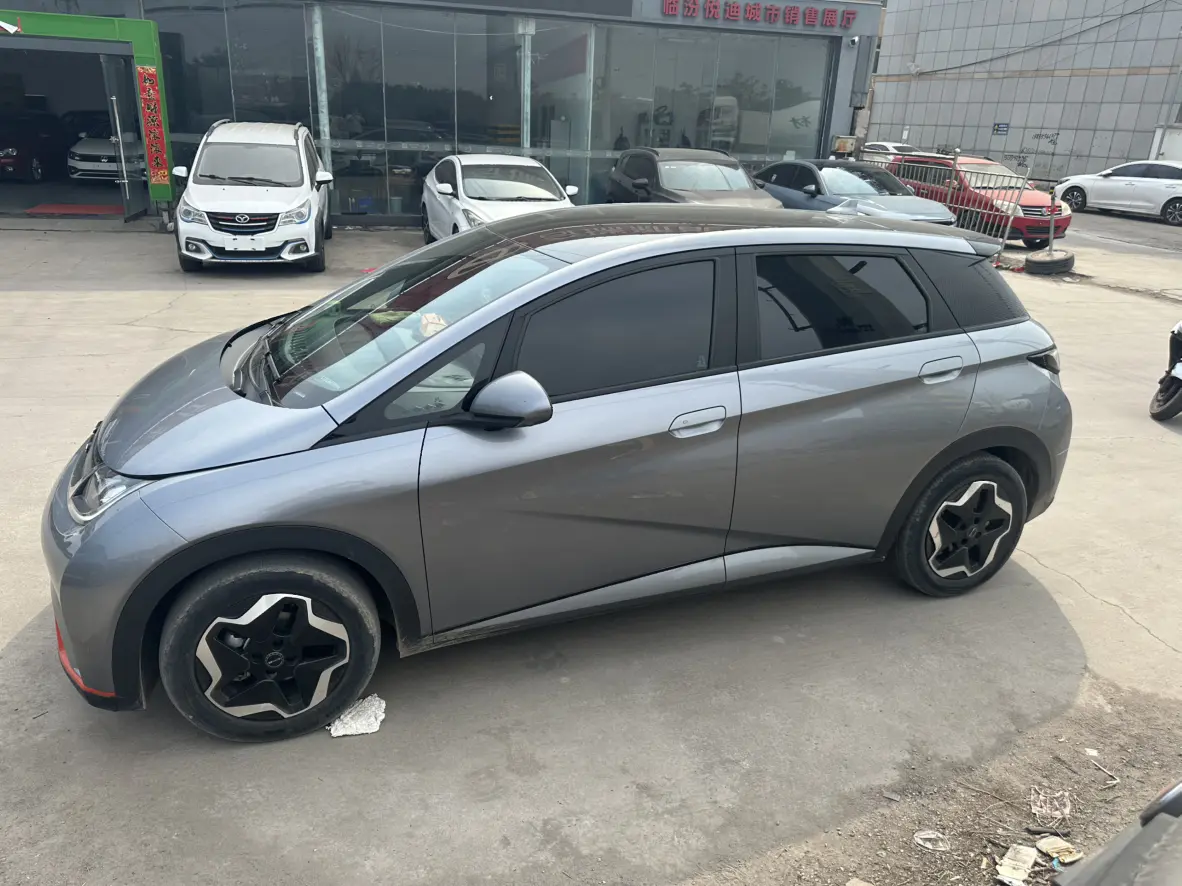 BYD Dolphin  из Китая