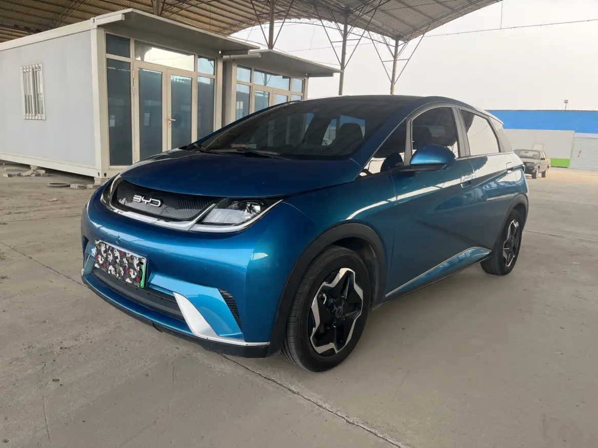 BYD Dolphin  из Китая