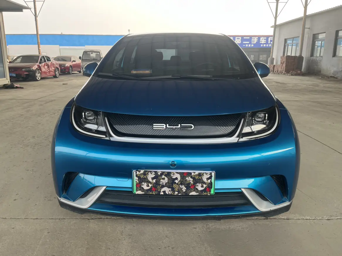 BYD Dolphin  из Китая