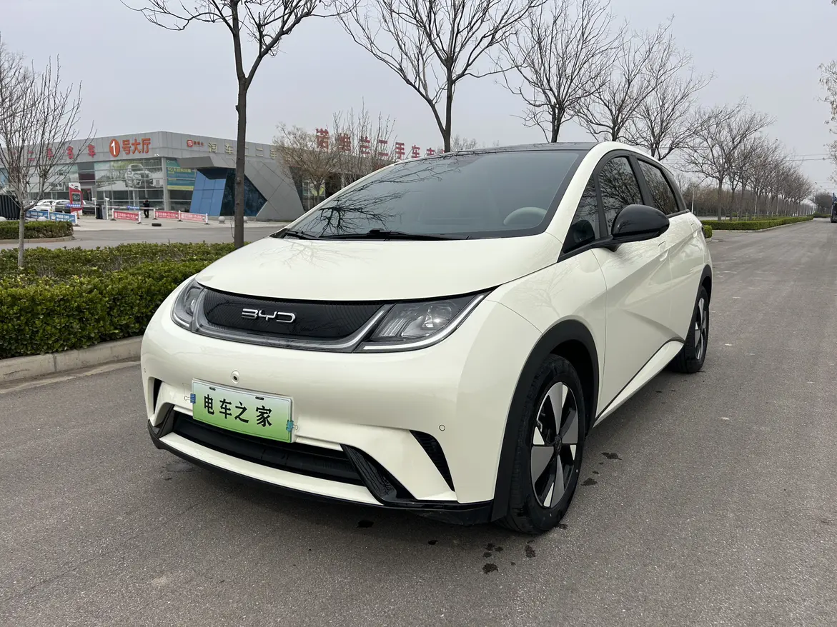 BYD Dolphin  из Китая