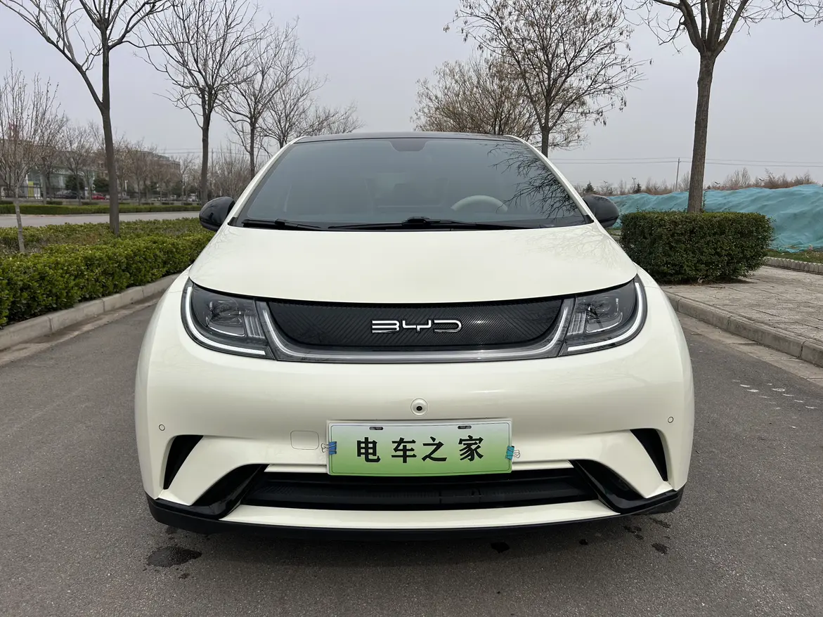 BYD Dolphin  из Китая