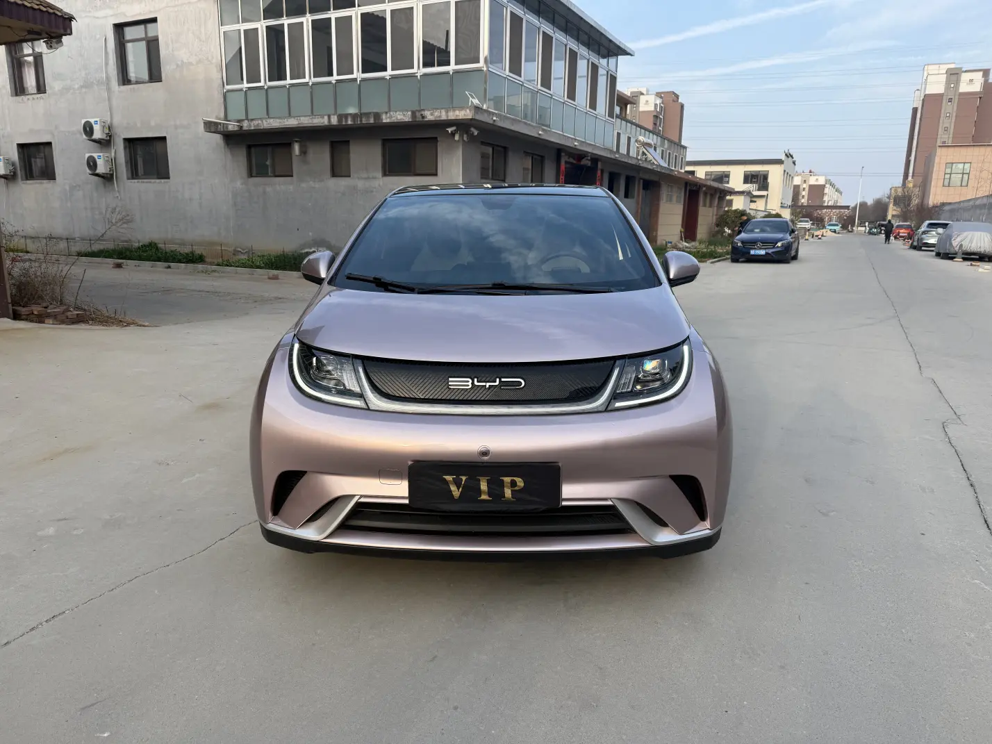 BYD Dolphin  из Китая