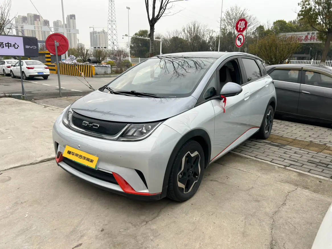 BYD Dolphin  из Китая