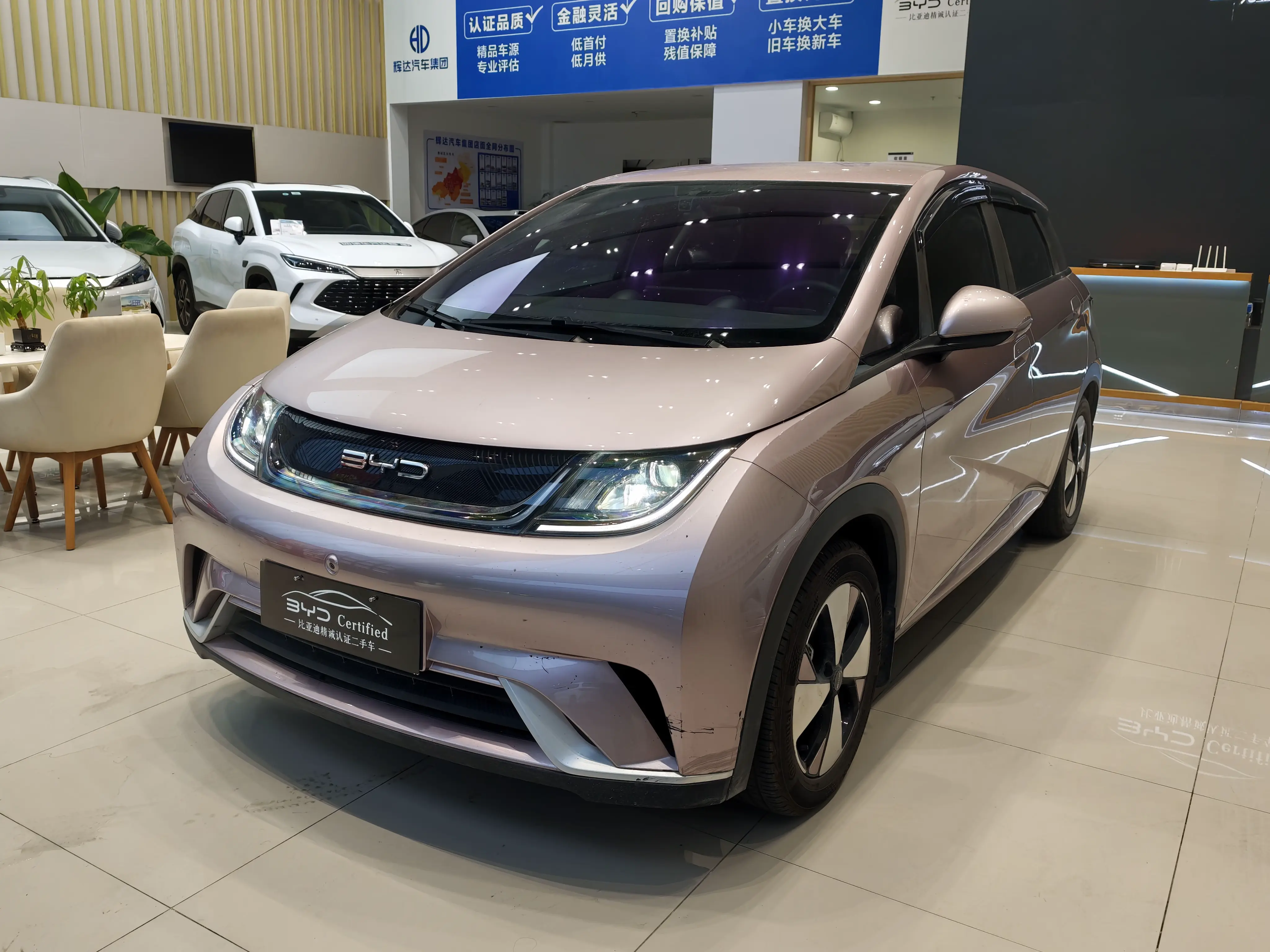 BYD Dolphin  из Китая