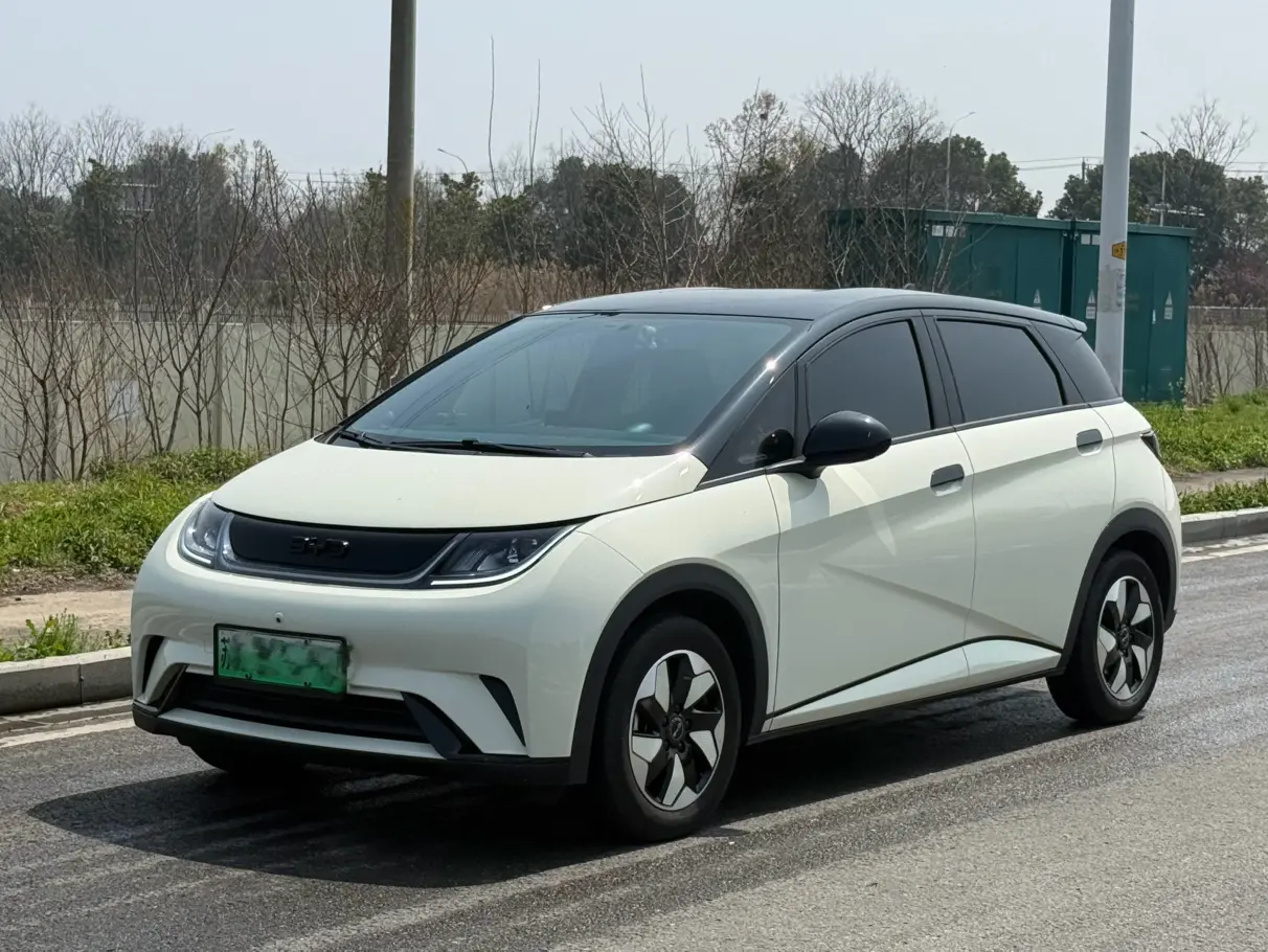 BYD Dolphin