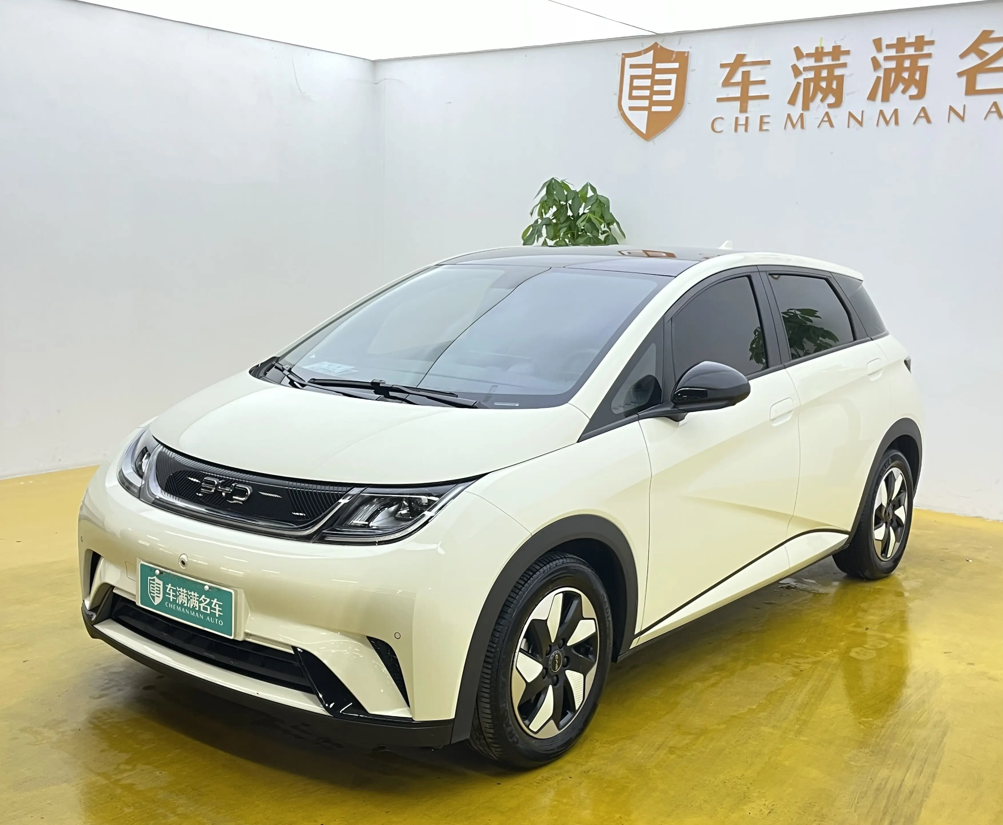 BYD Dolphin  из Китая