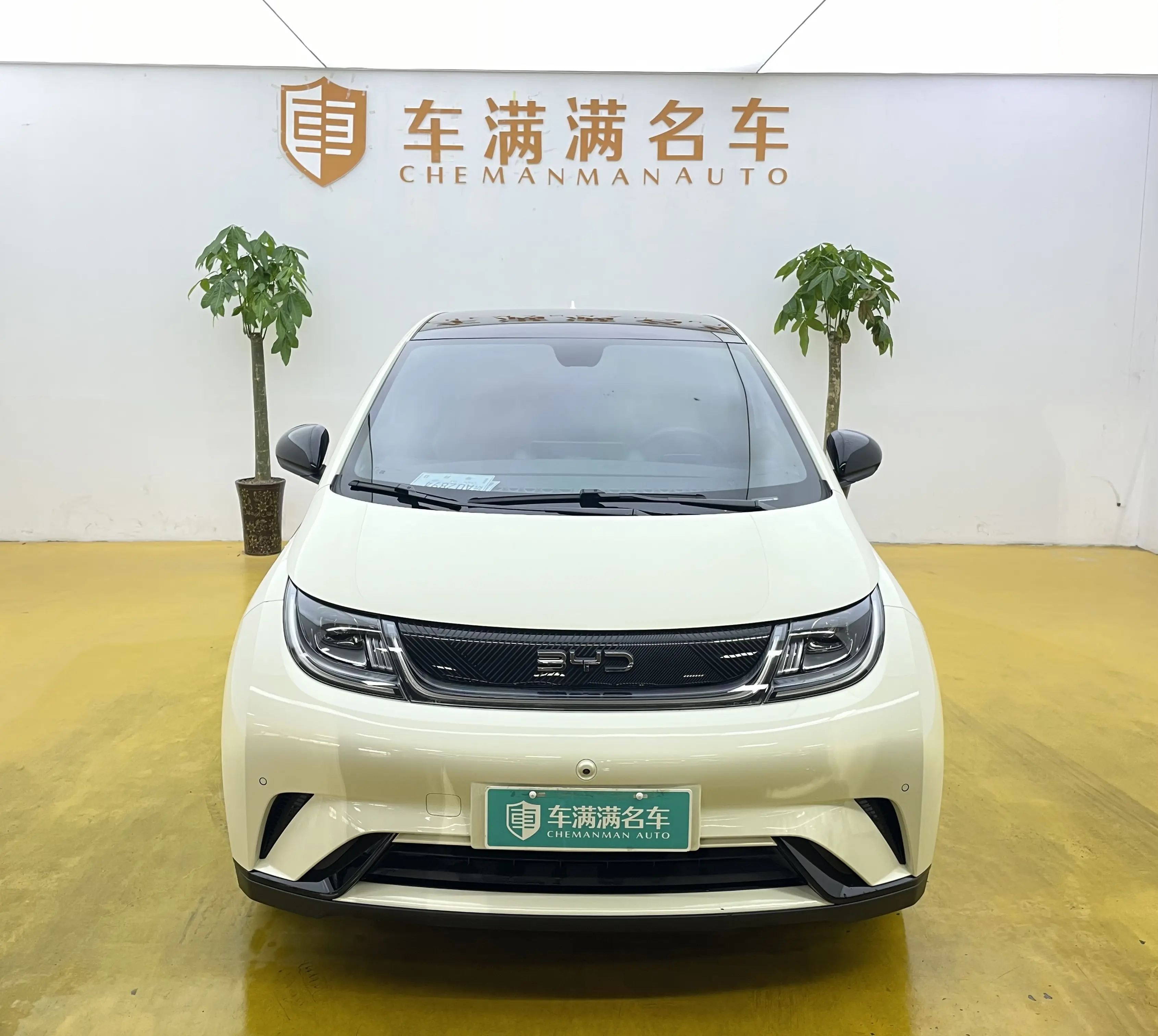 BYD Dolphin  из Китая